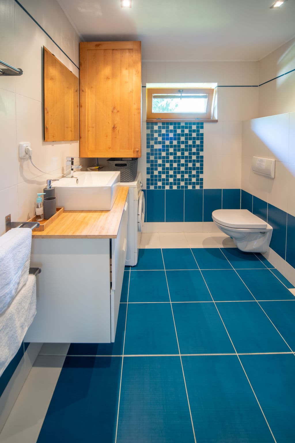 Bathroom / Wellness