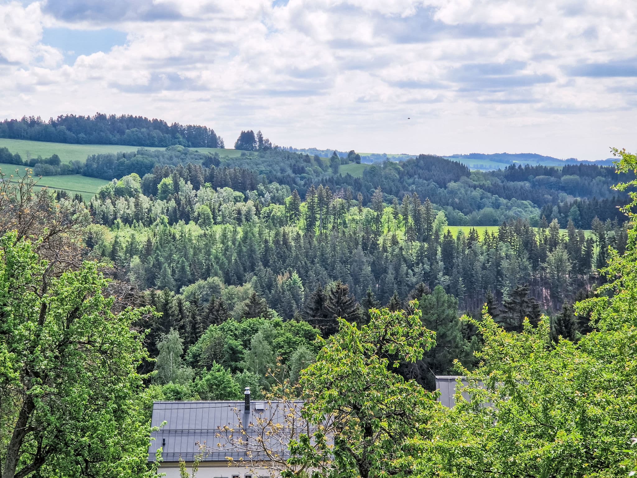View