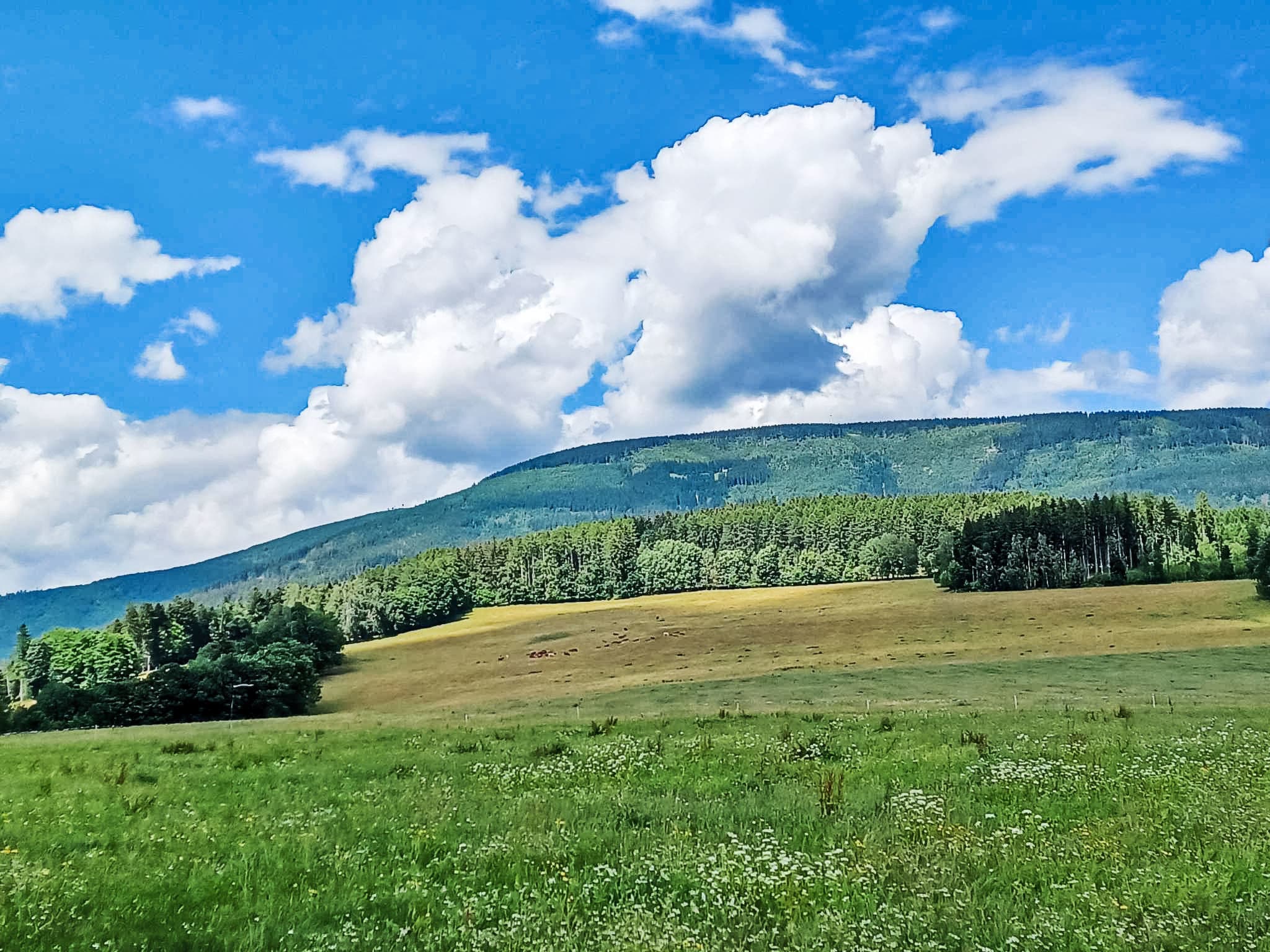 Place