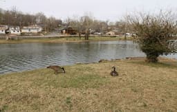 Idlewild at Duck Harbor Resort