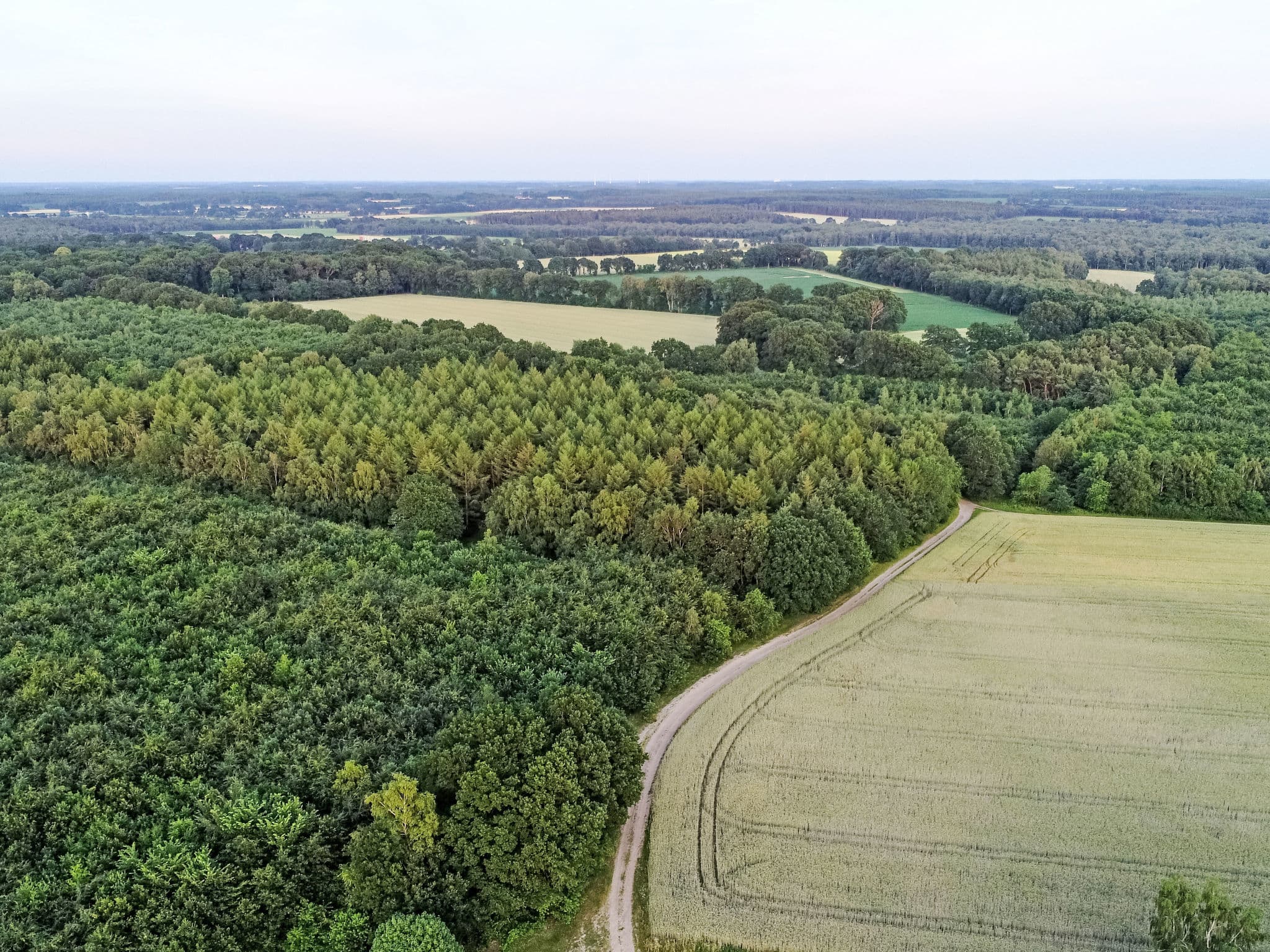 Aerial photography