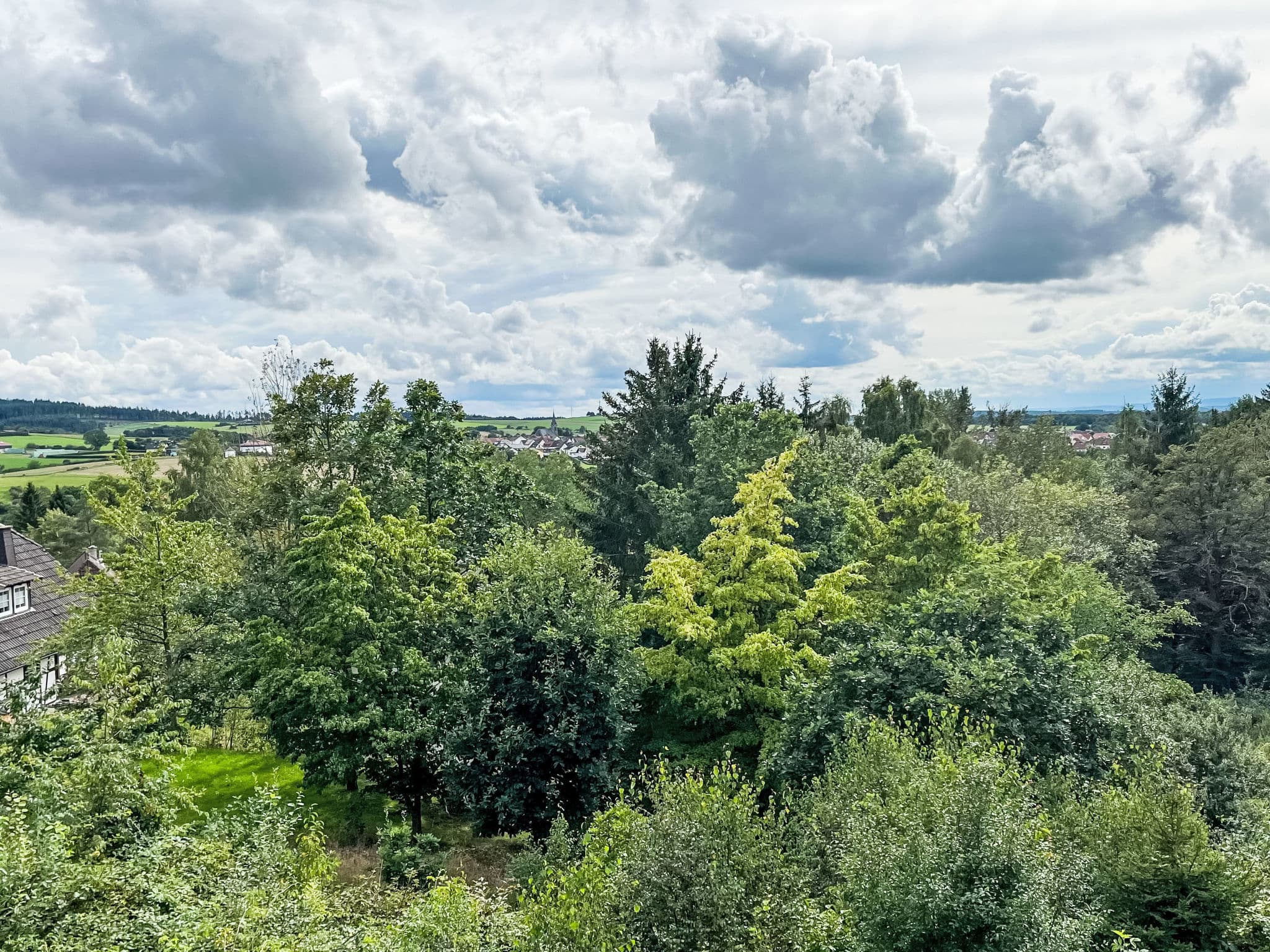 View