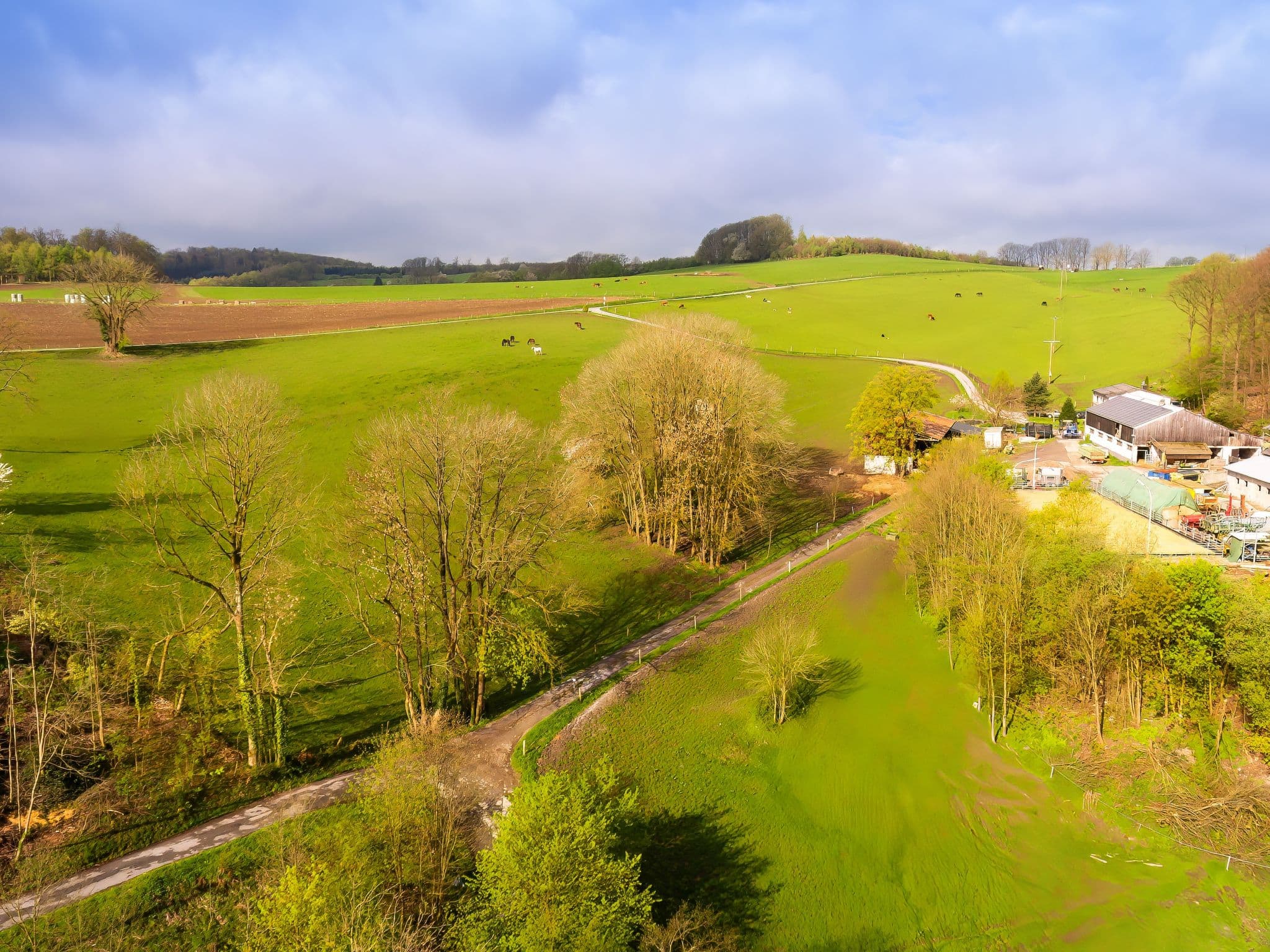 Aerial photography