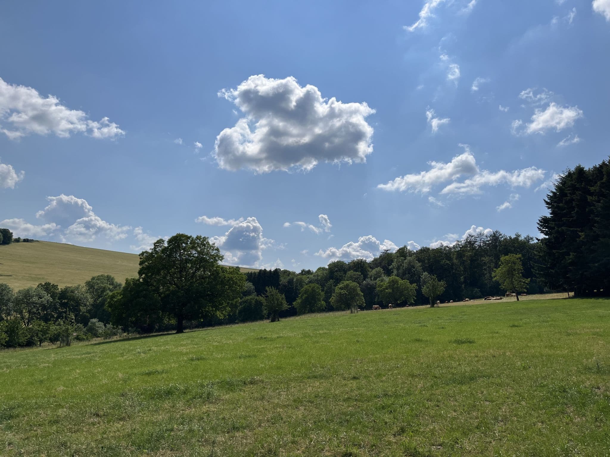 Place