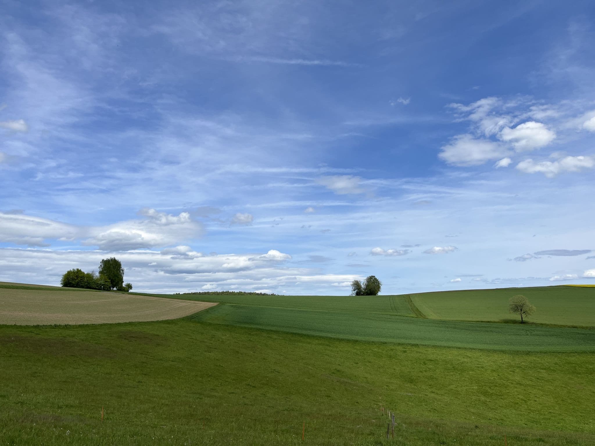 Place