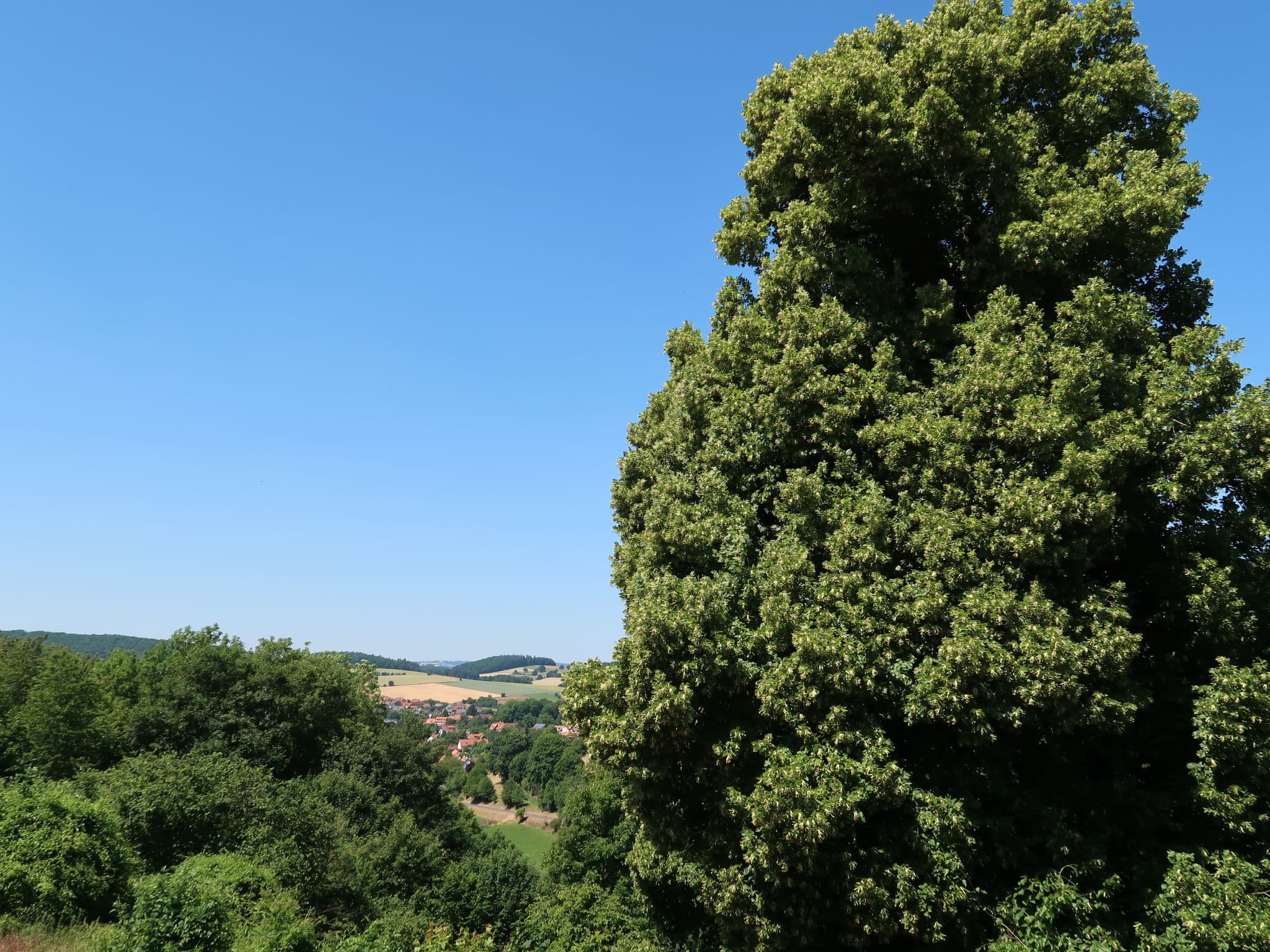 Place