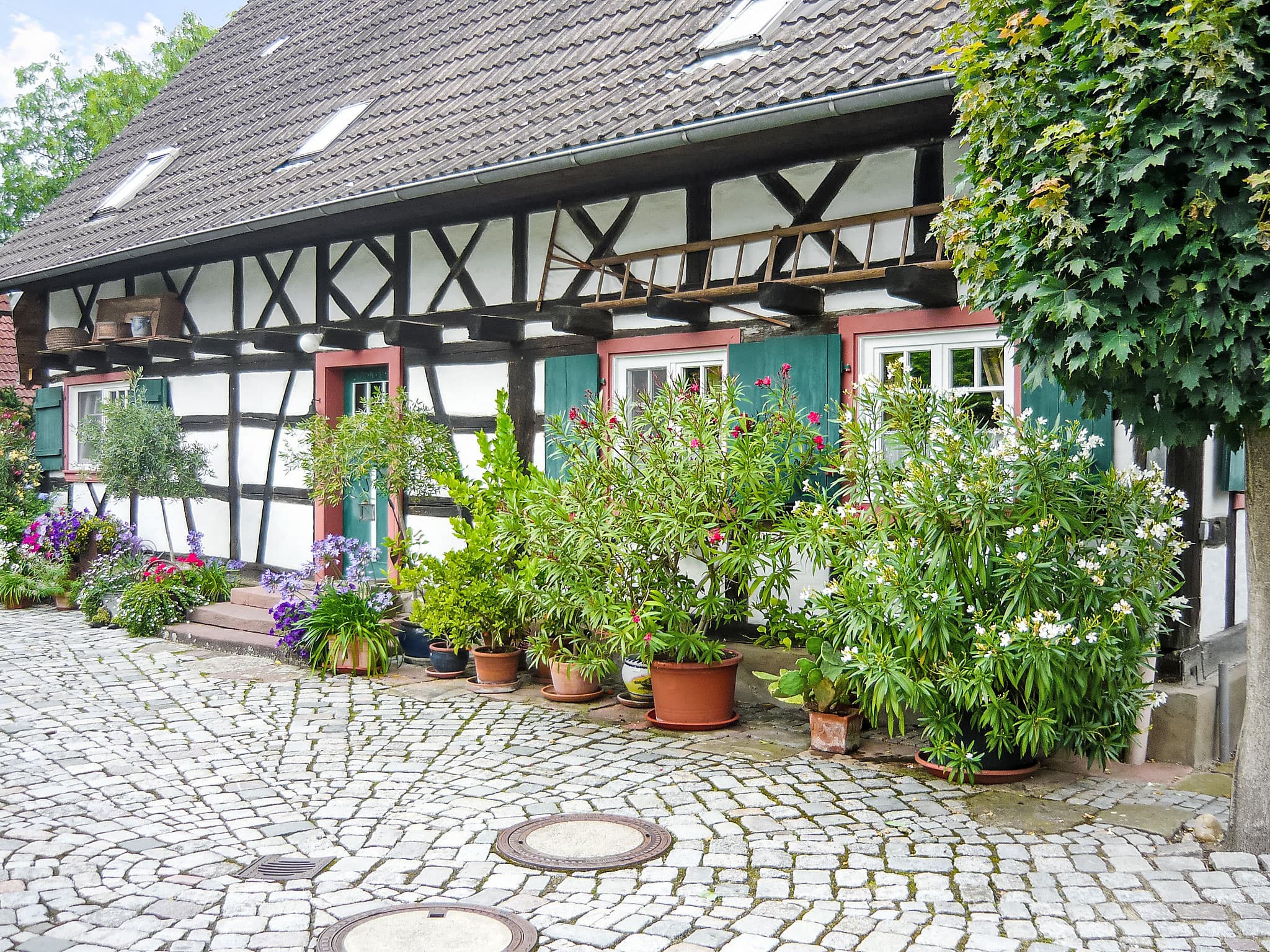 House