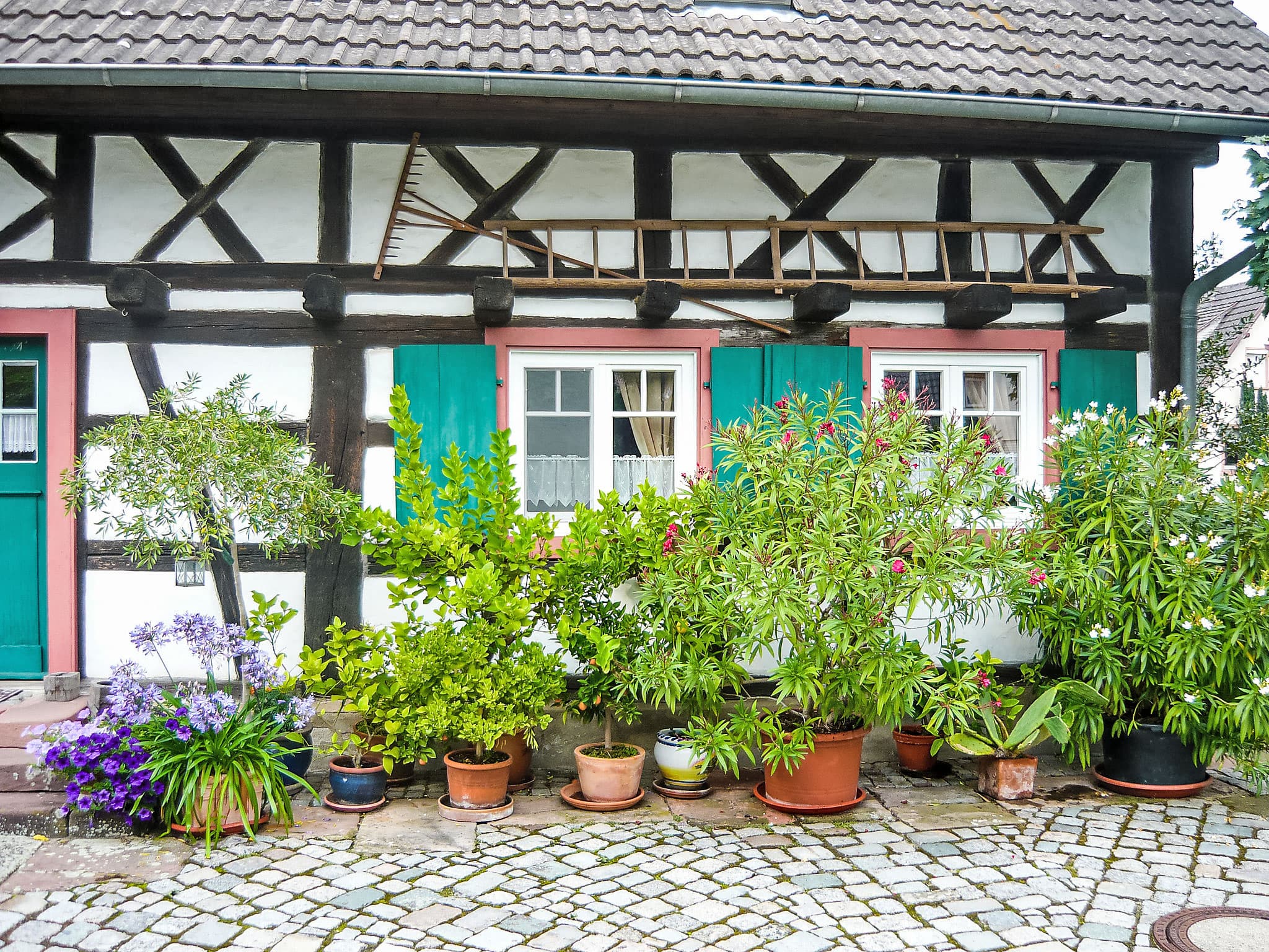 House