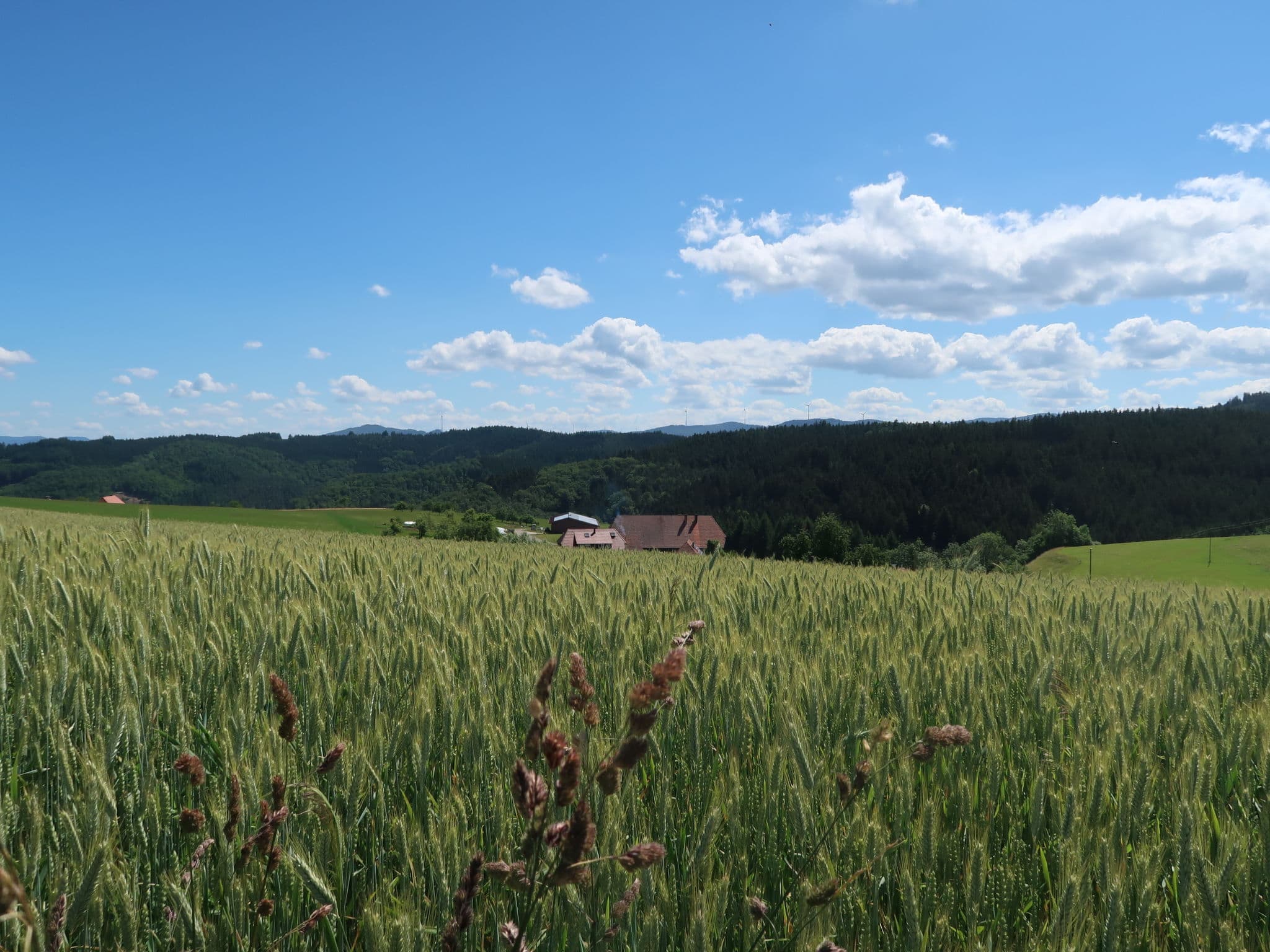 View