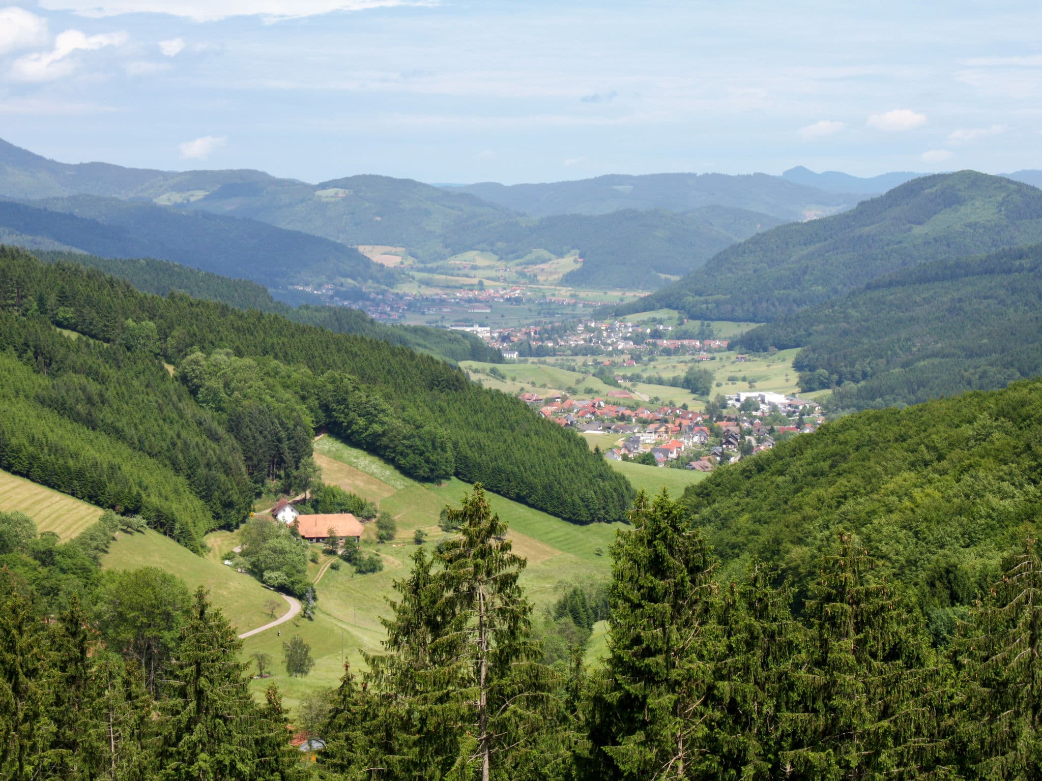 View