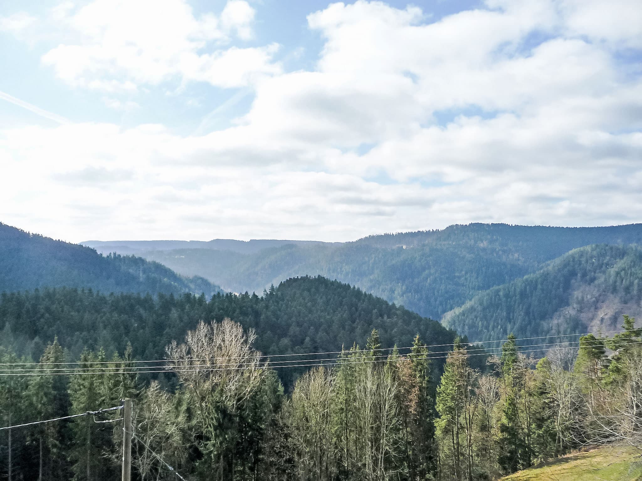 View
