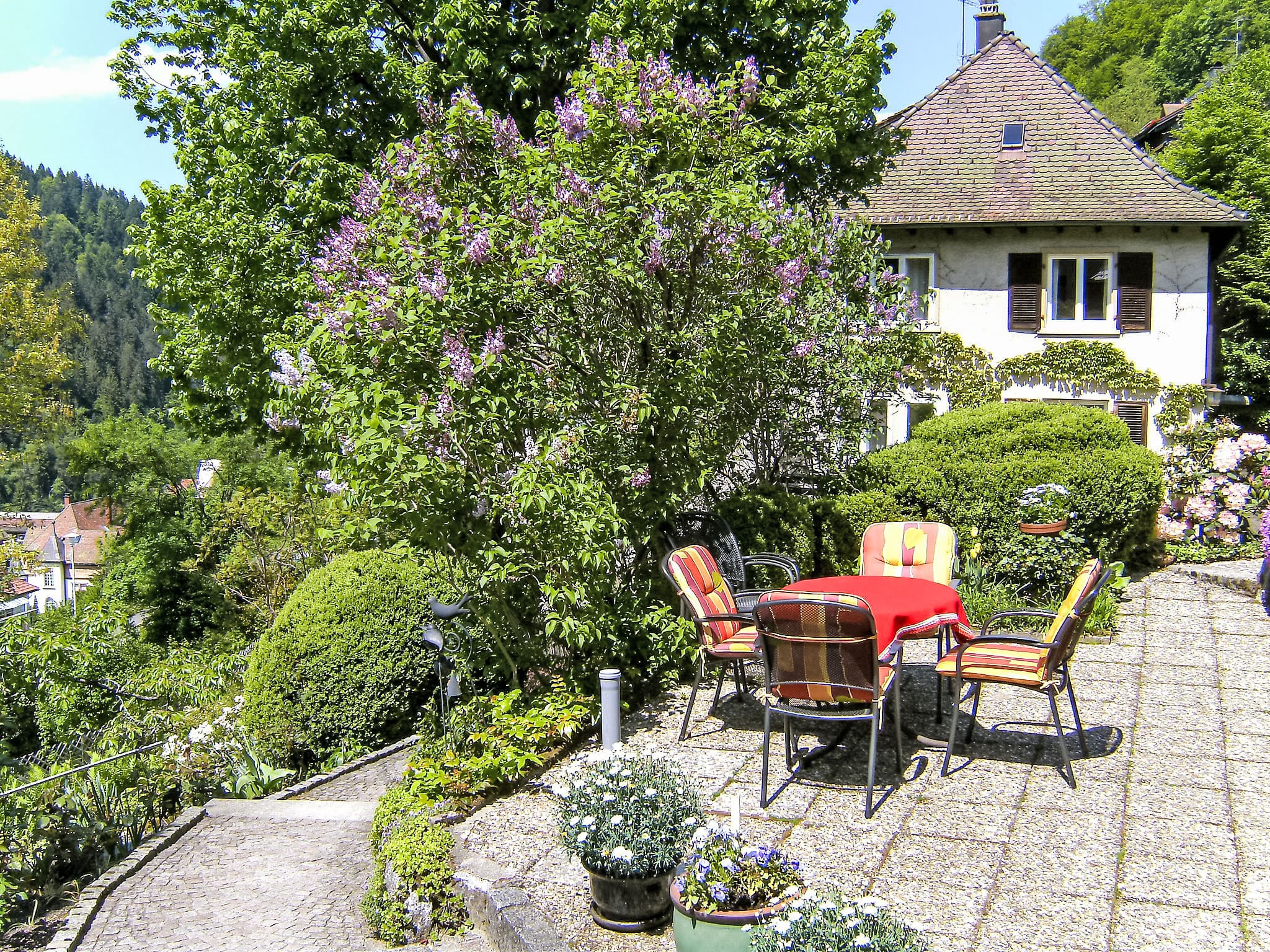 Terrace