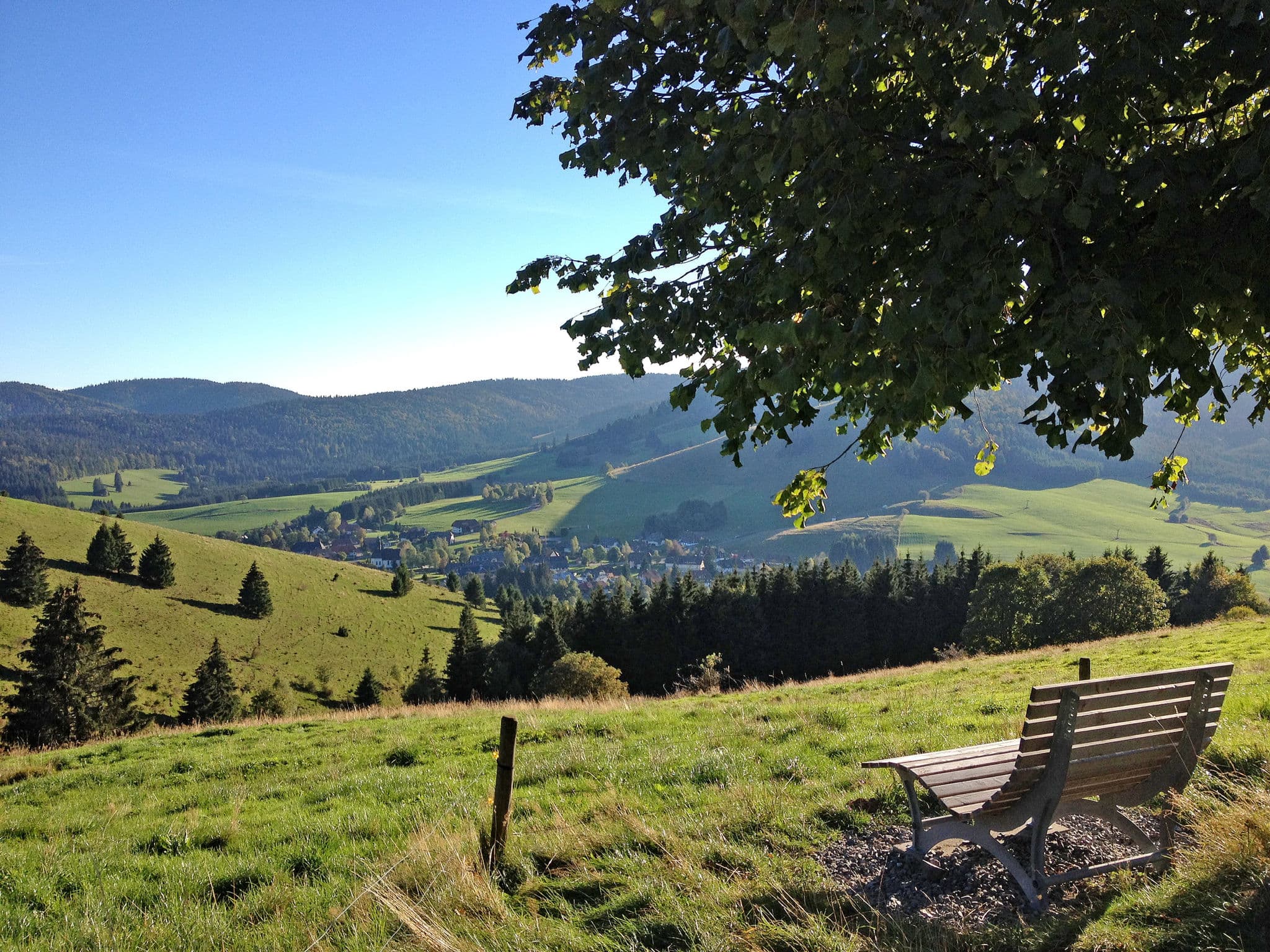 Place