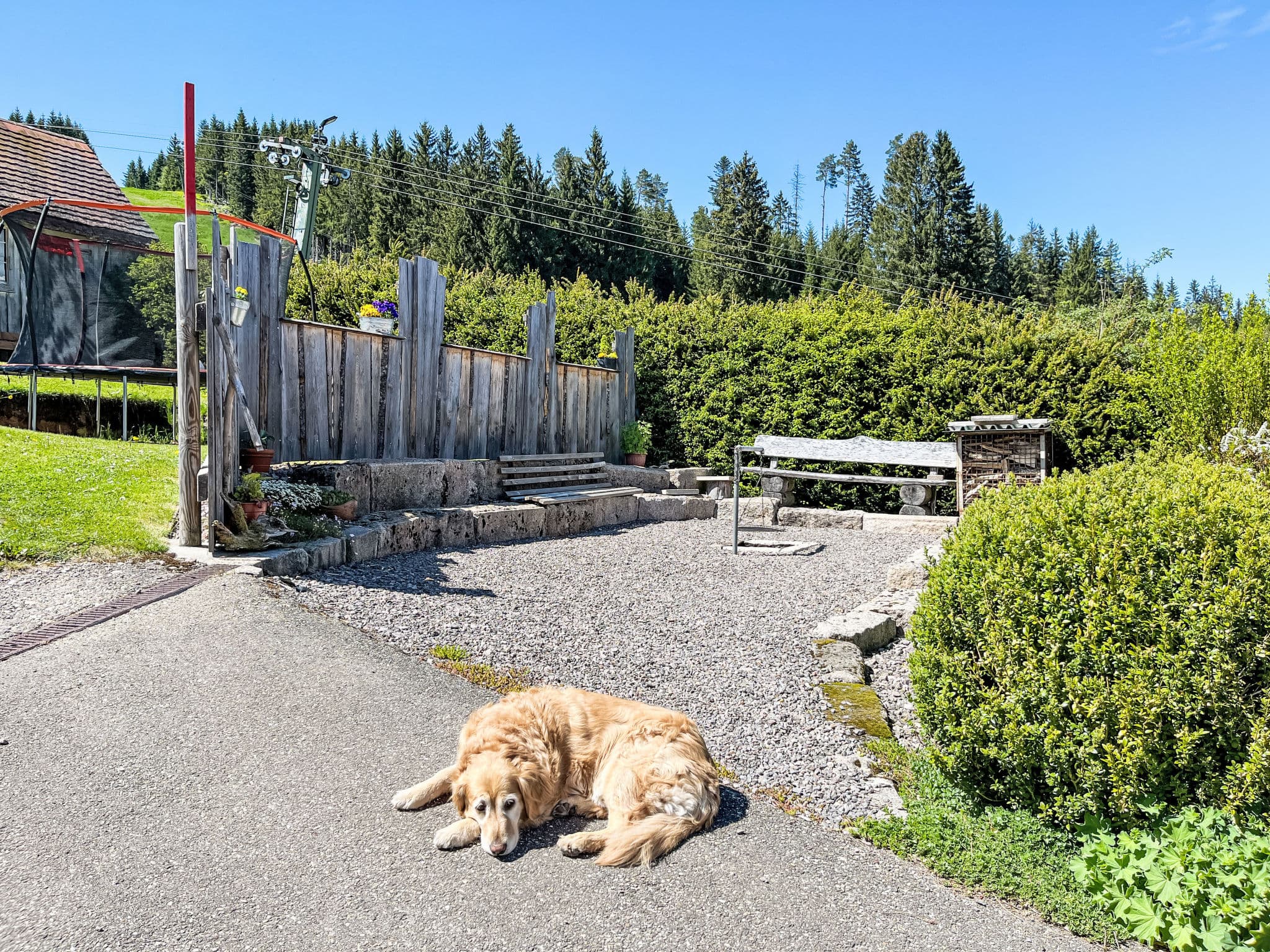 Terrace