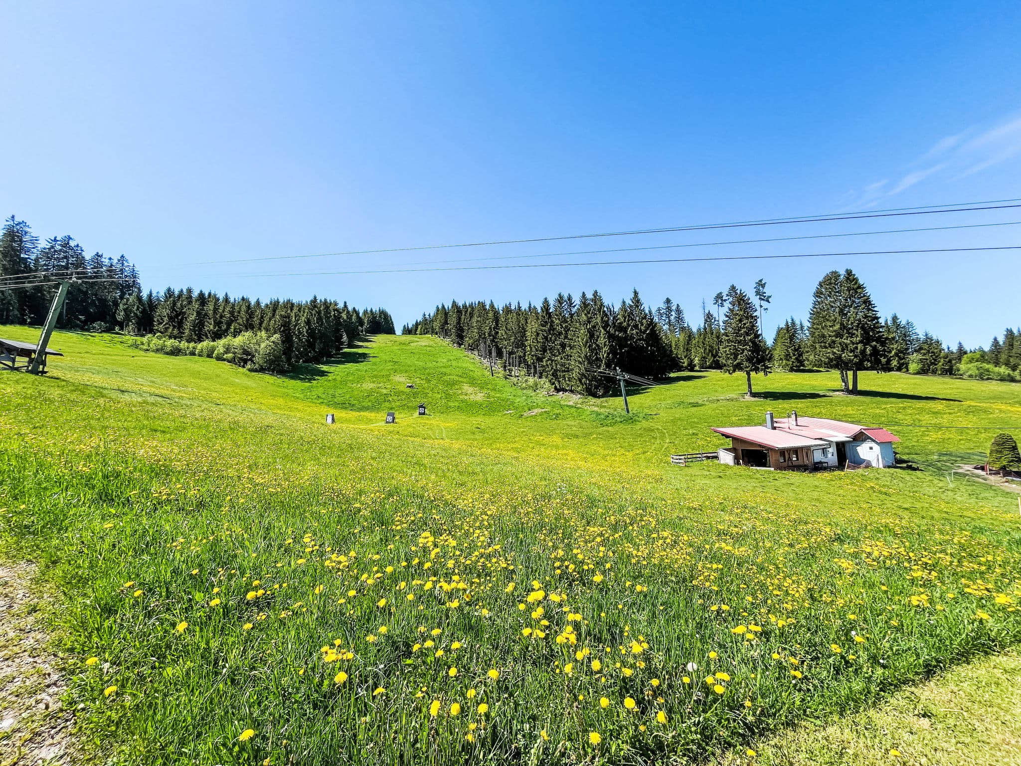 Place