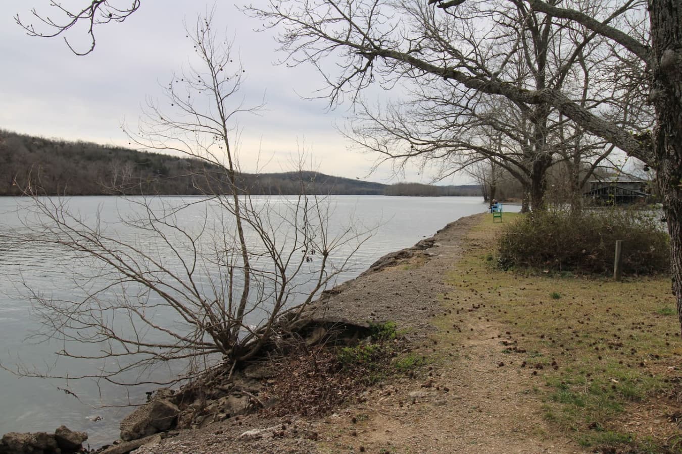 Gallery Image 21