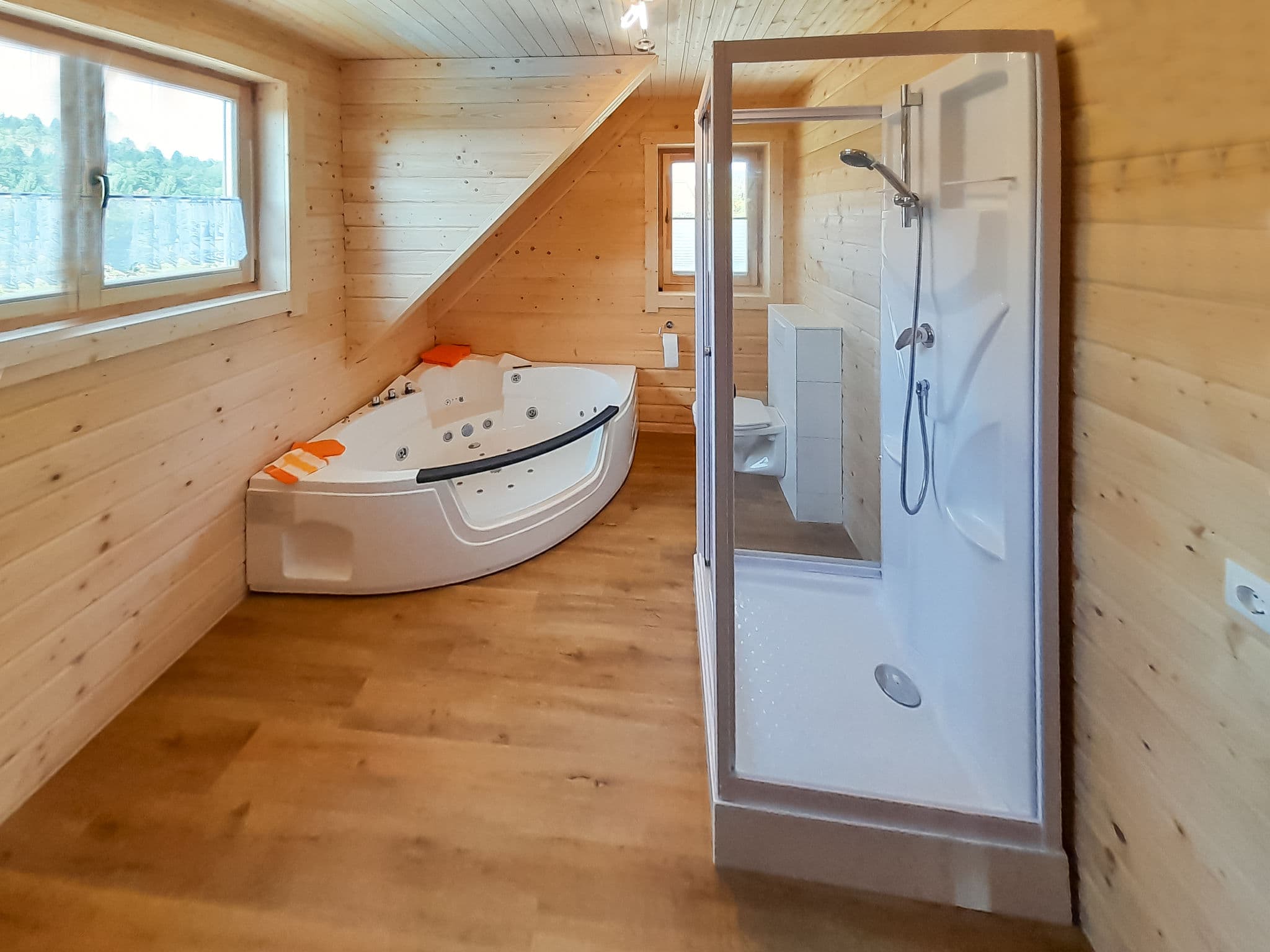 Bathroom / Wellness