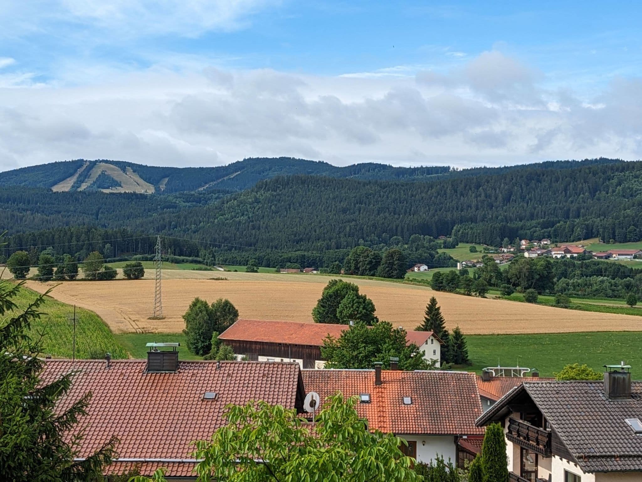 View