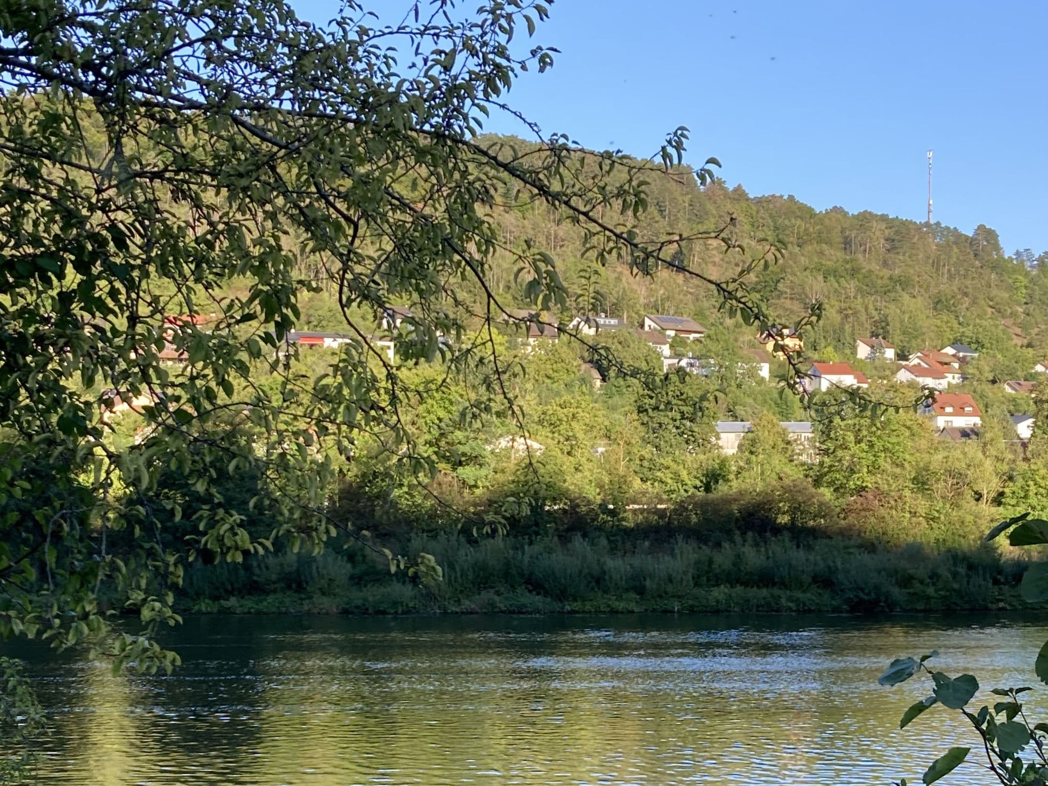 View