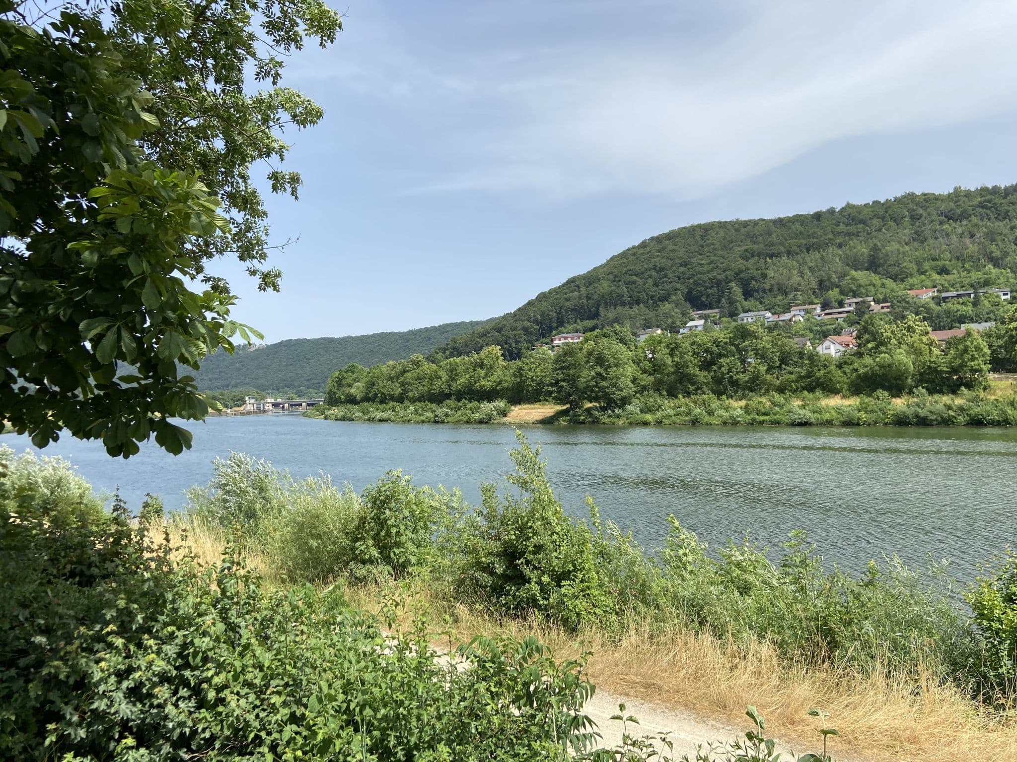 View