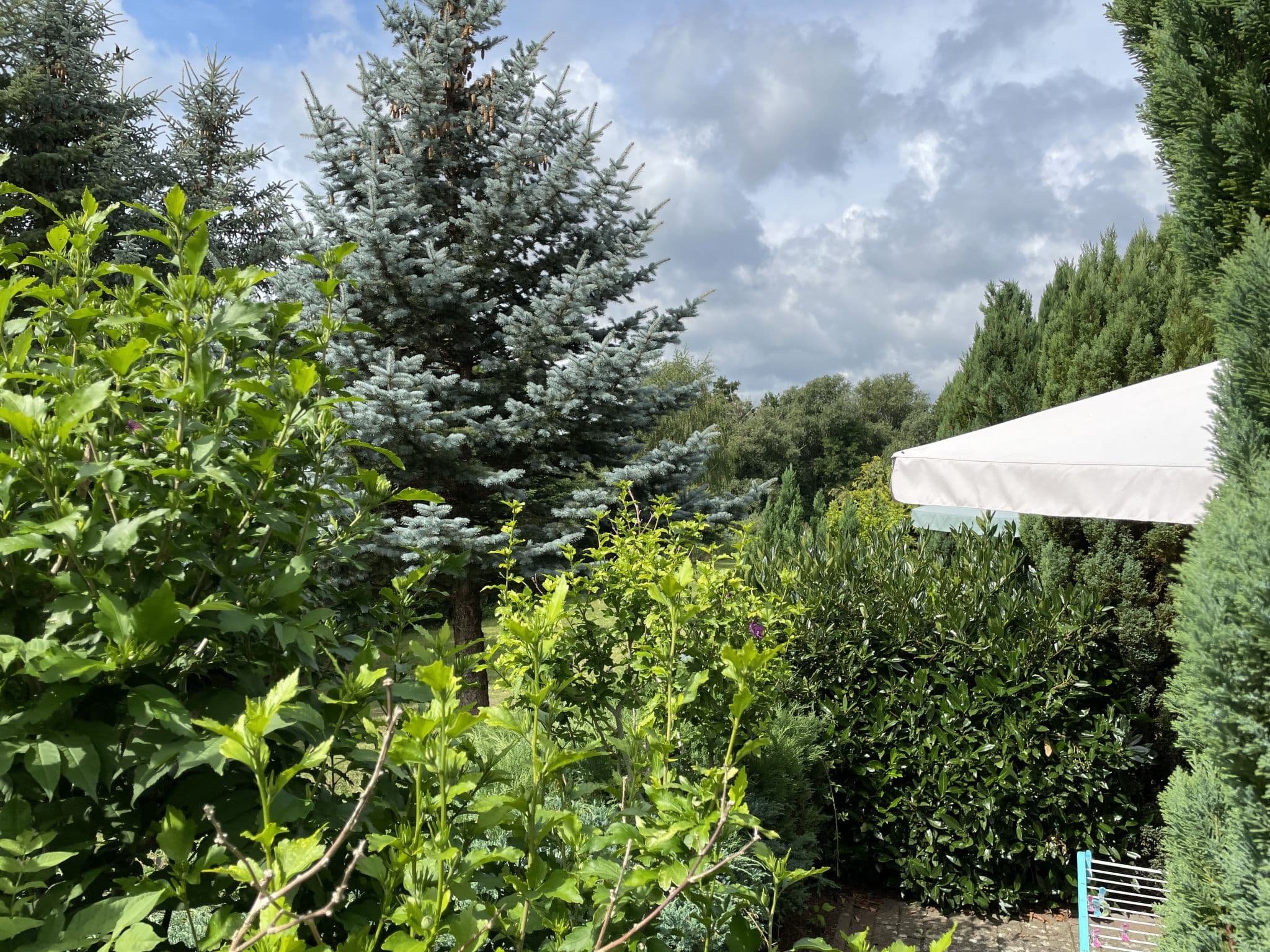 Outdoor