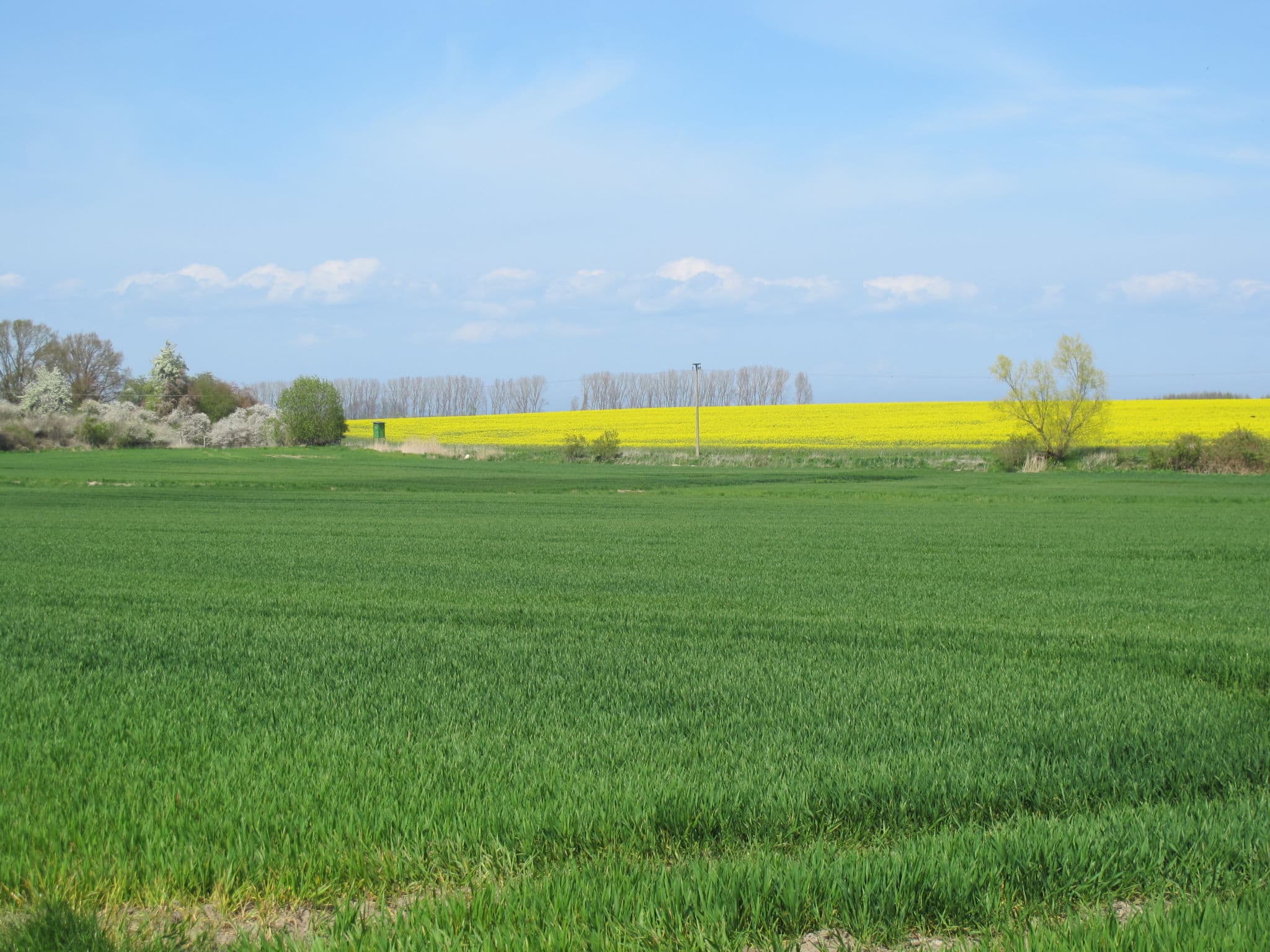 Place