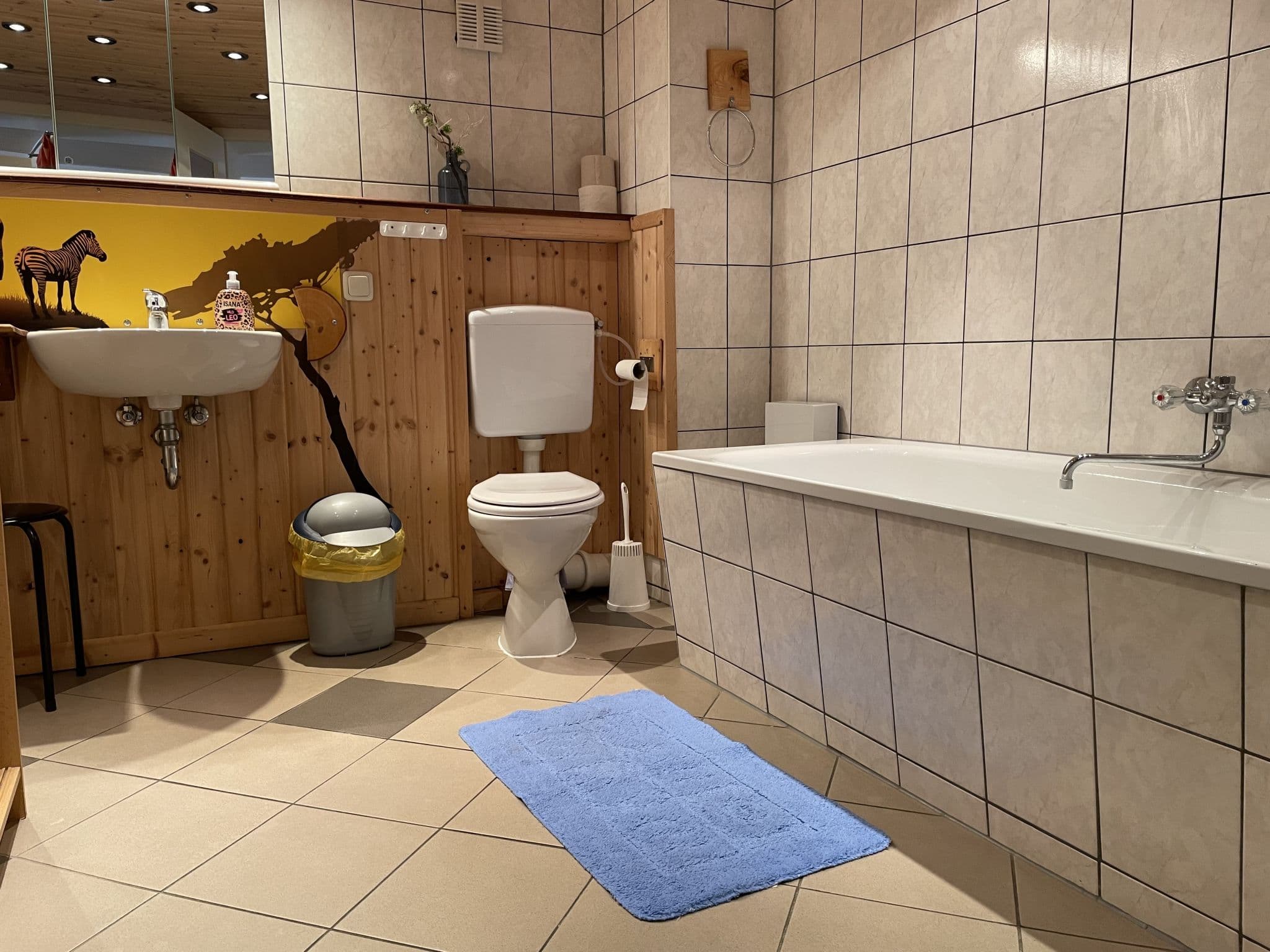 Bathroom / Wellness