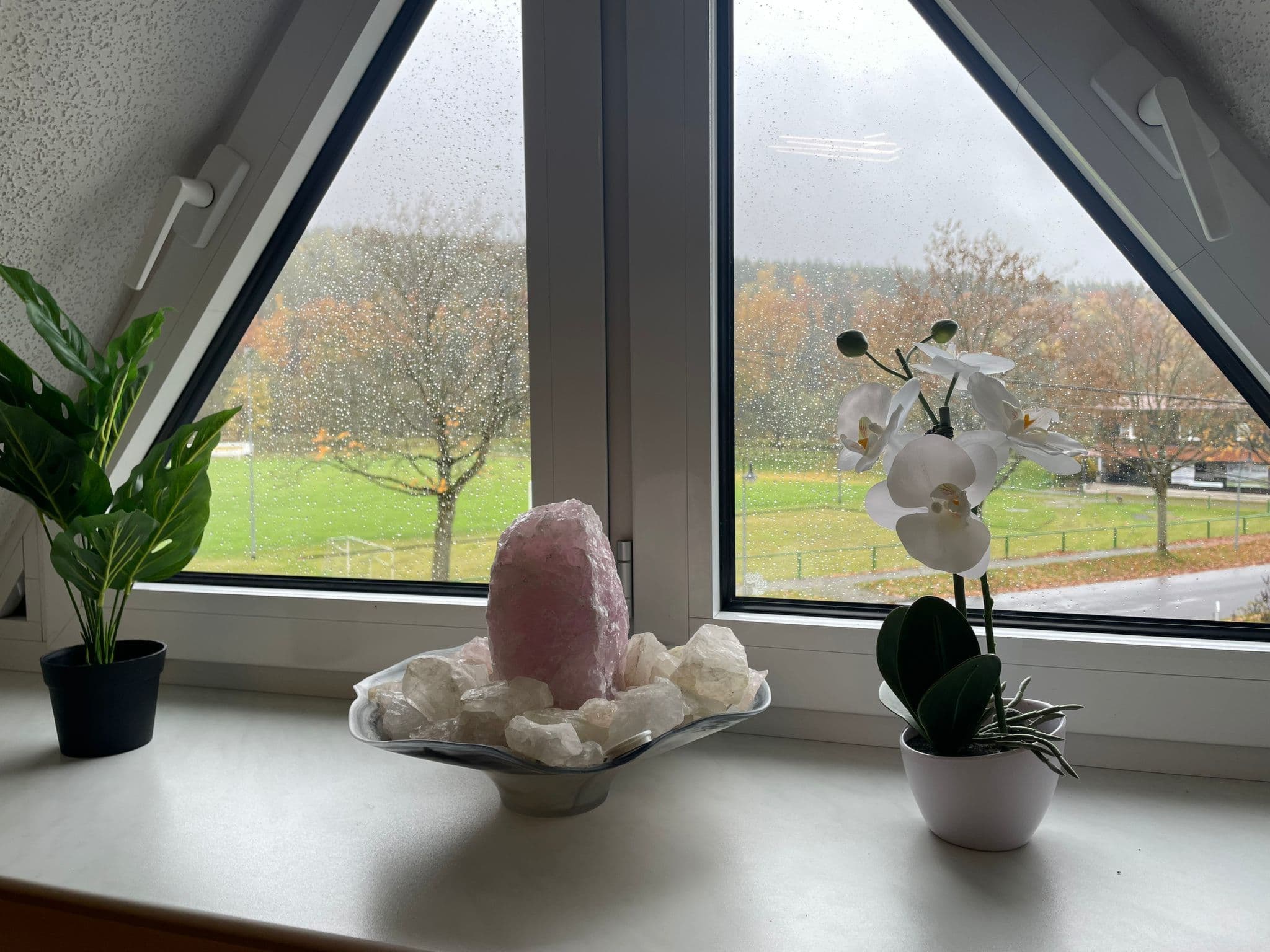 View