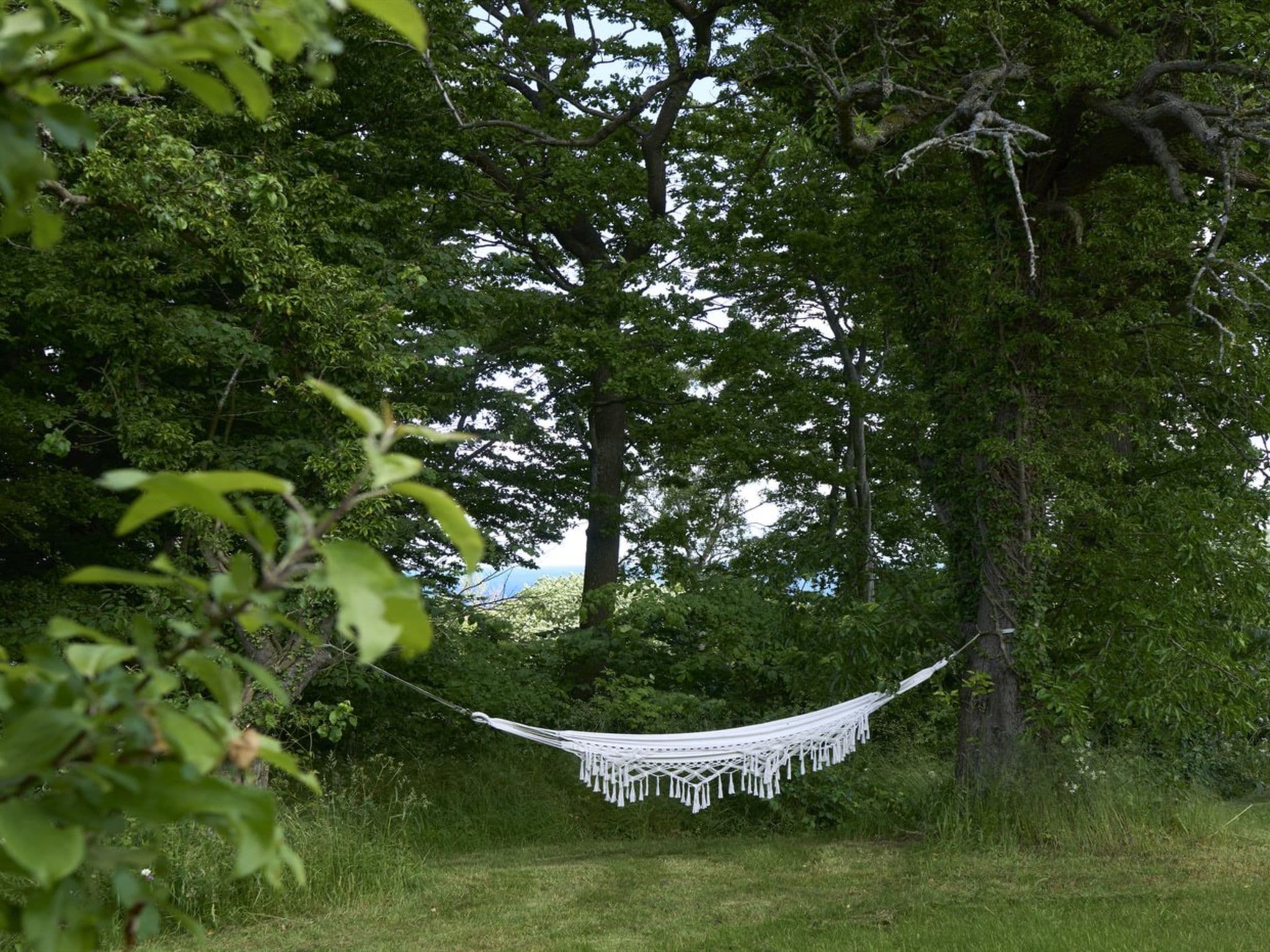 Outdoor