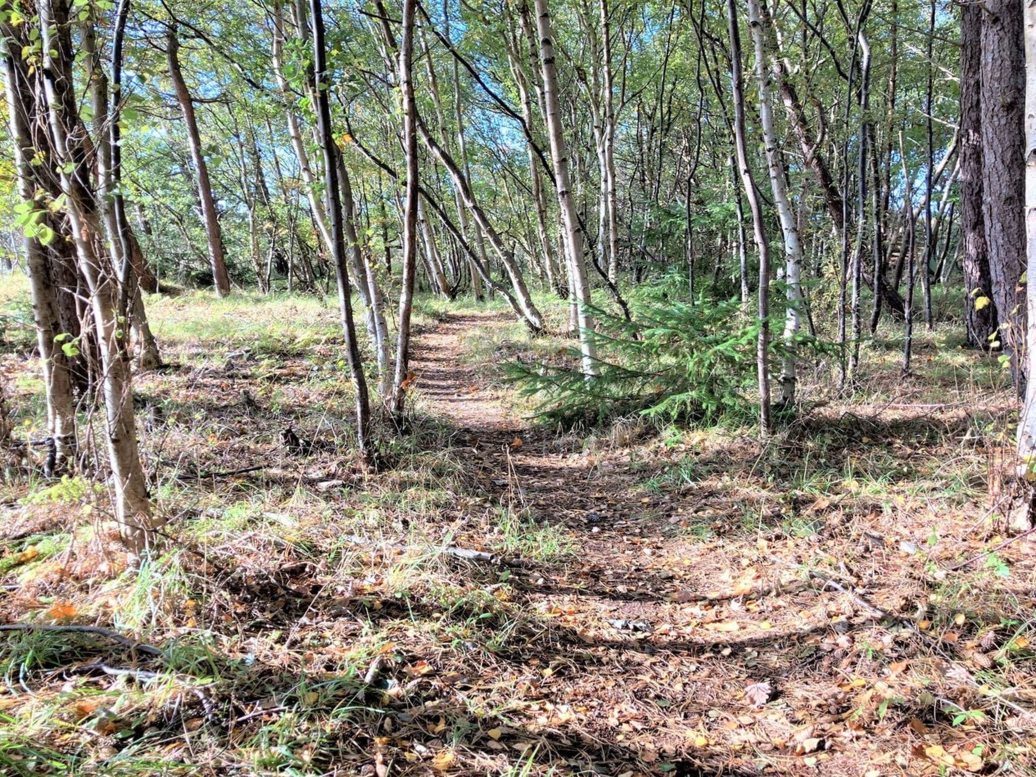 Place