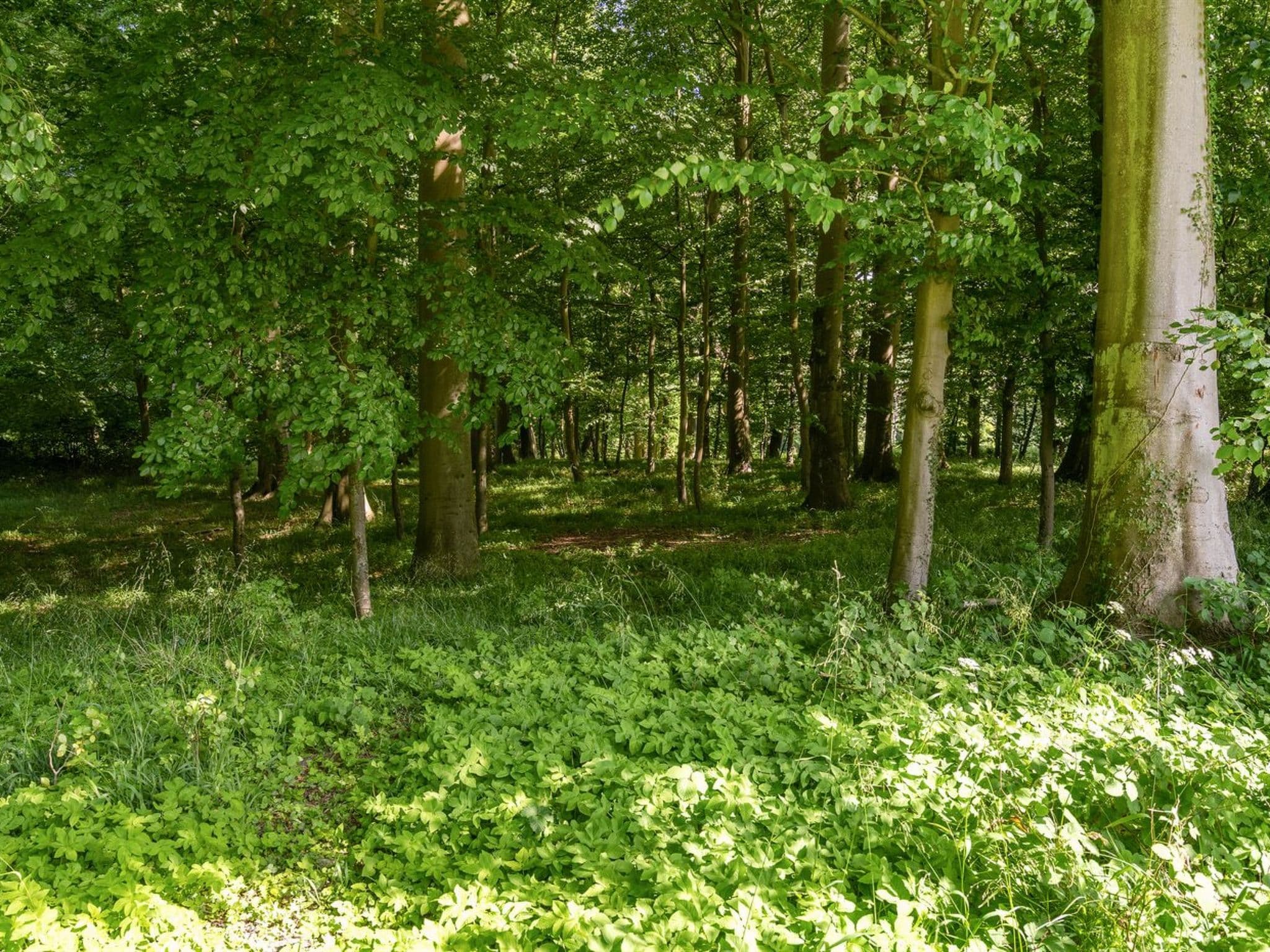 Place