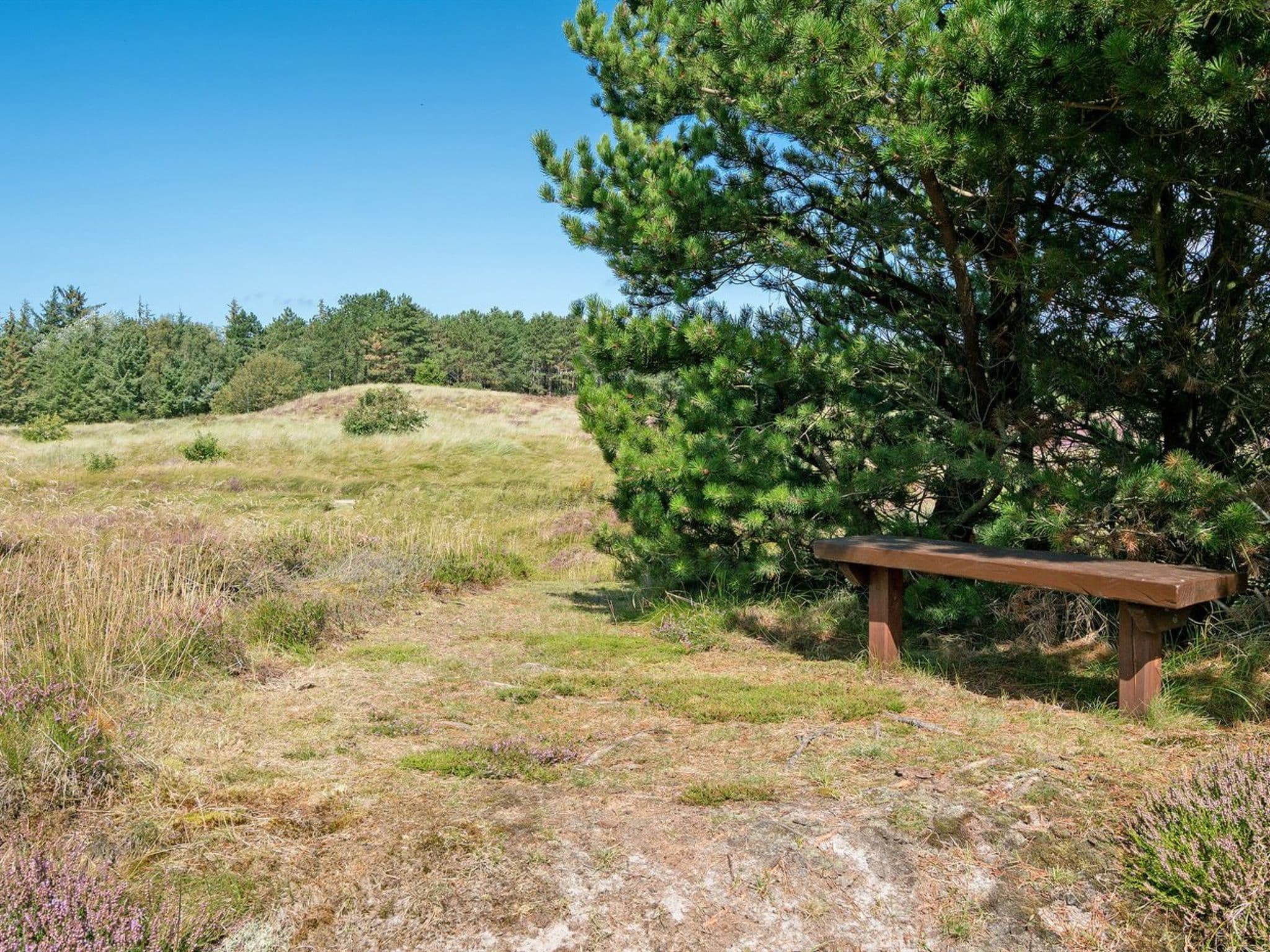 Place