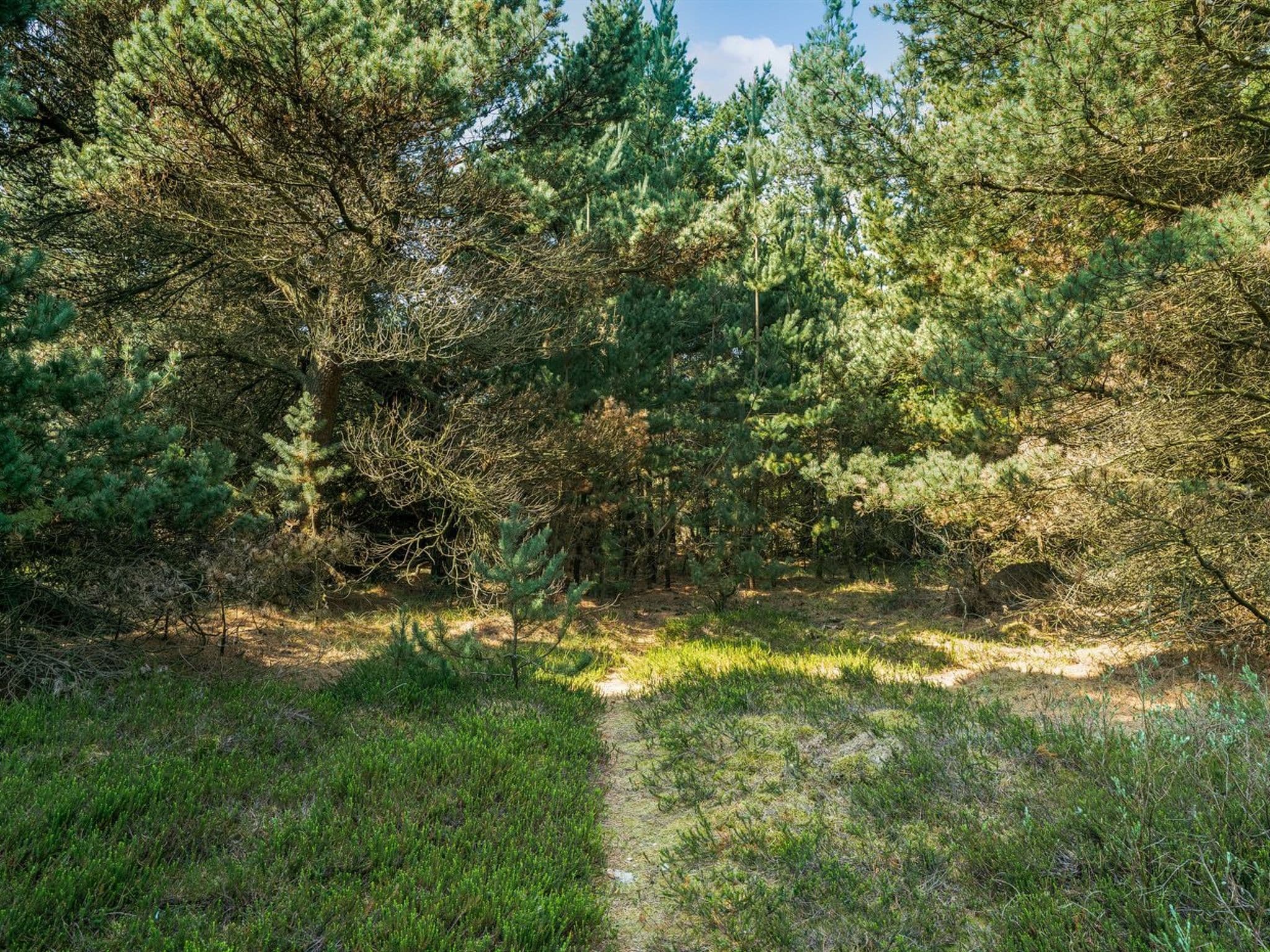 Place