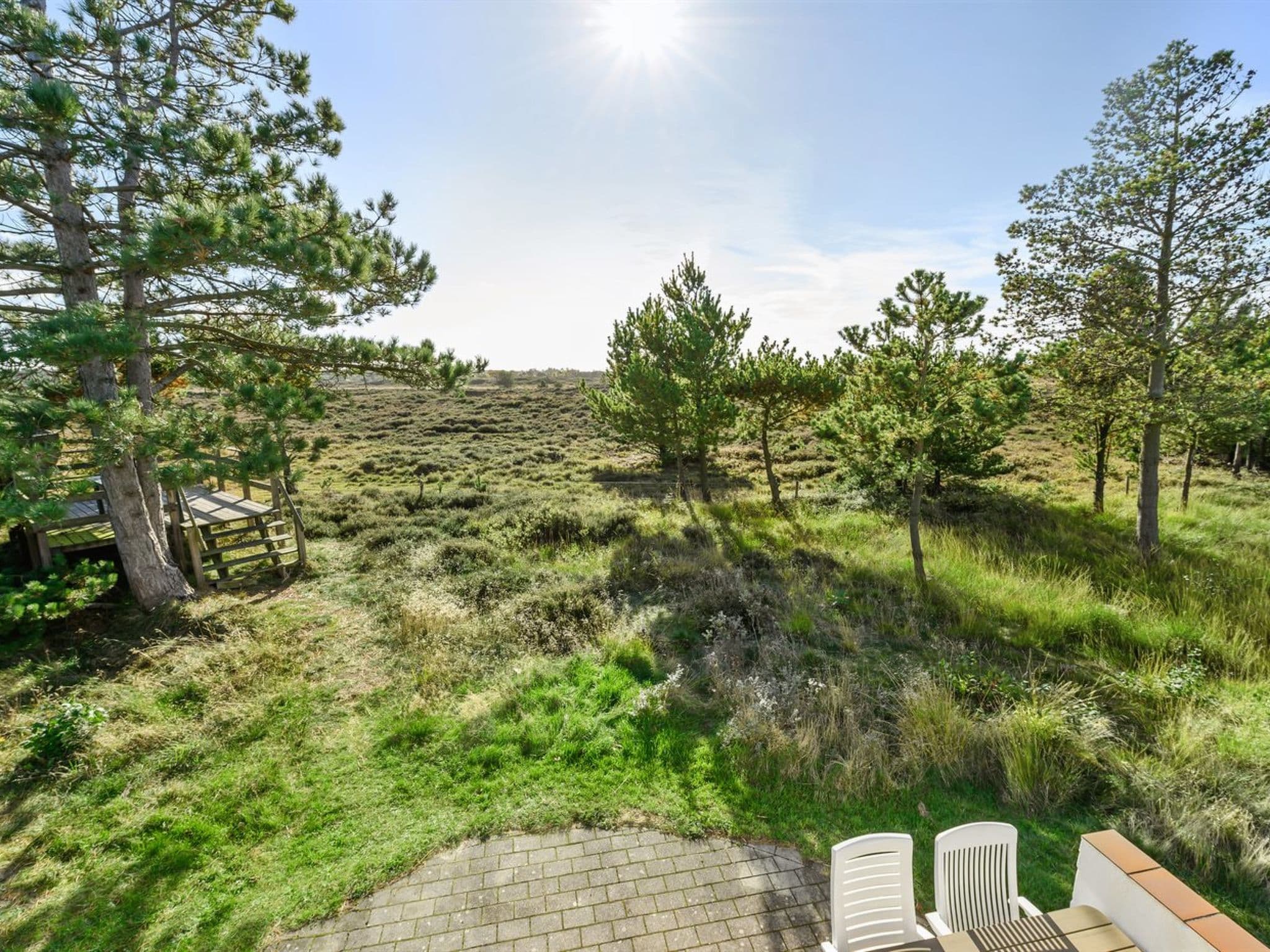 View