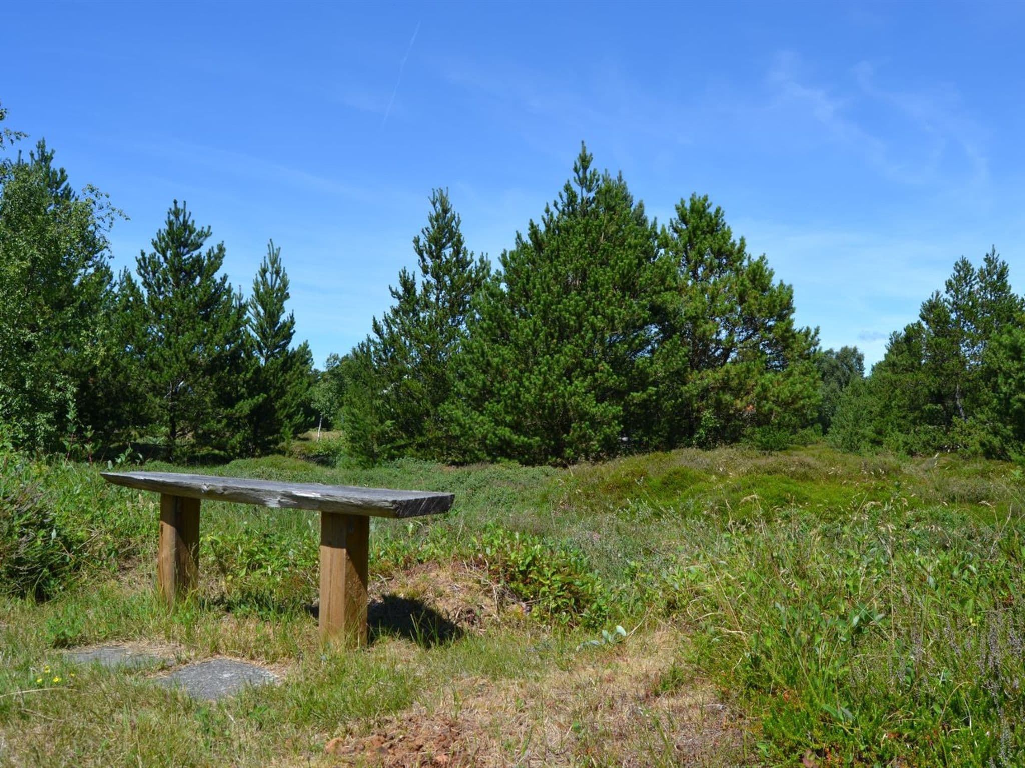 Place
