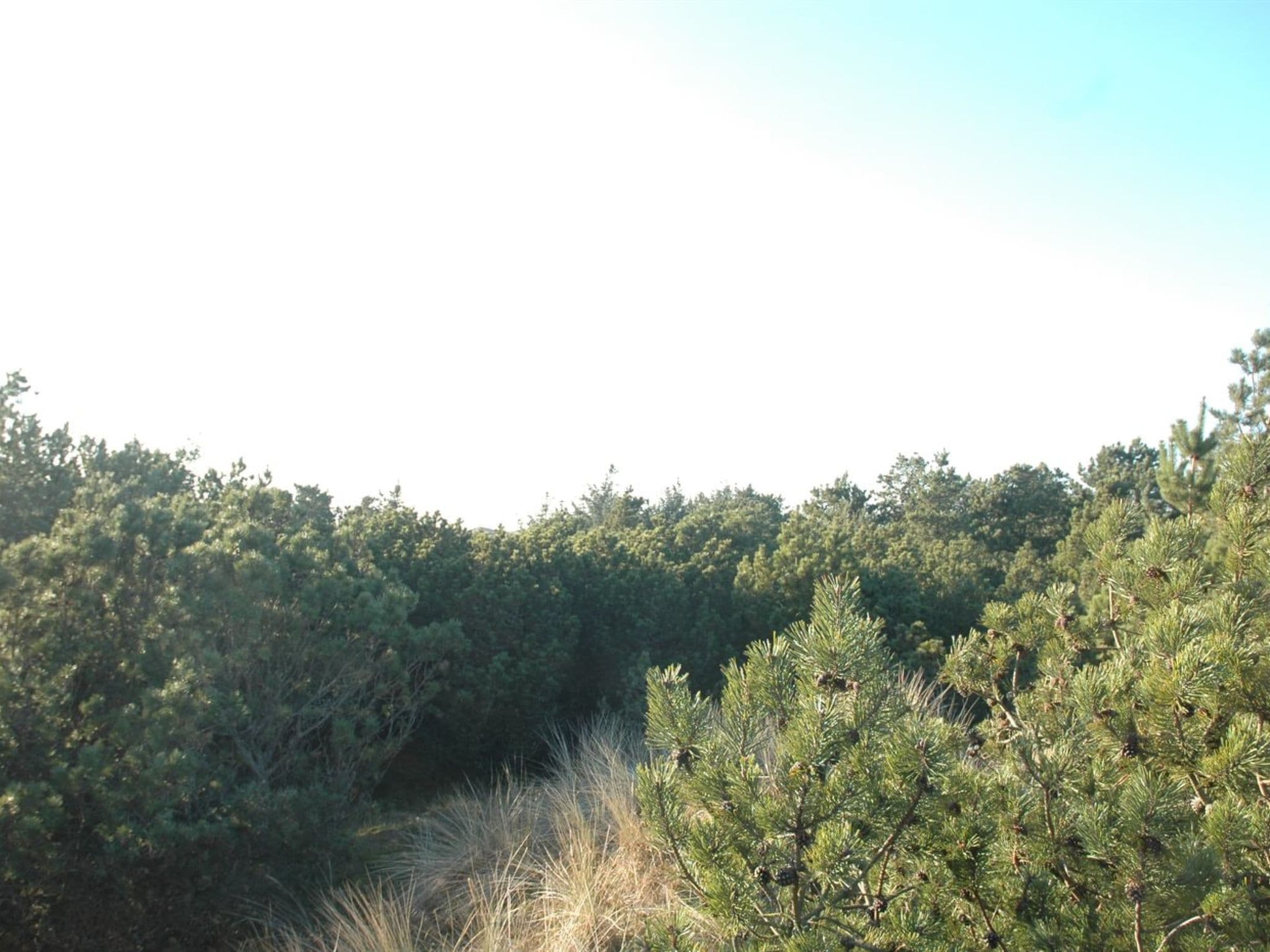 Place