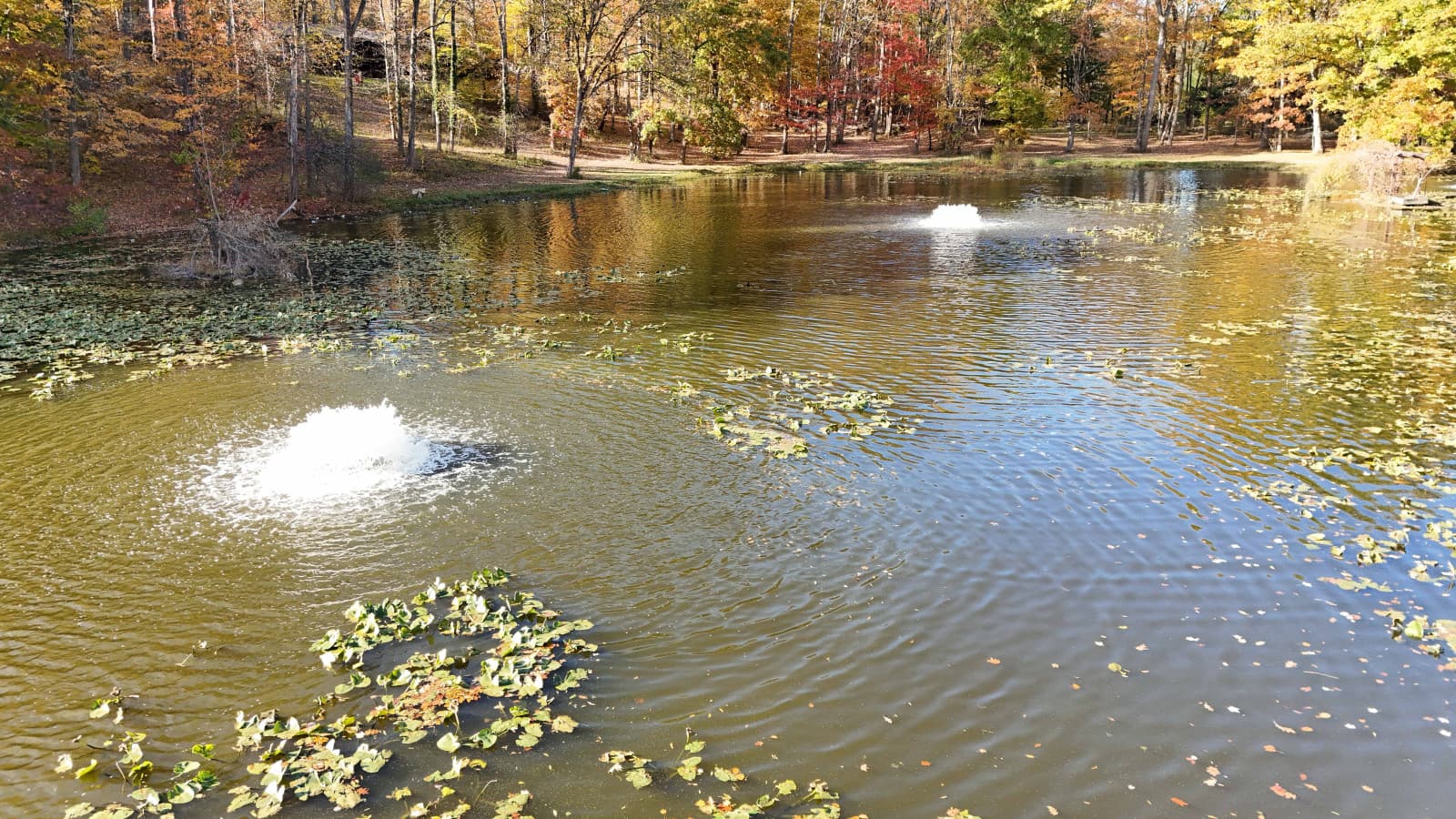 13-RCP©-2025 Fall Outside-DJI_20251027160600_0017_D.jpg