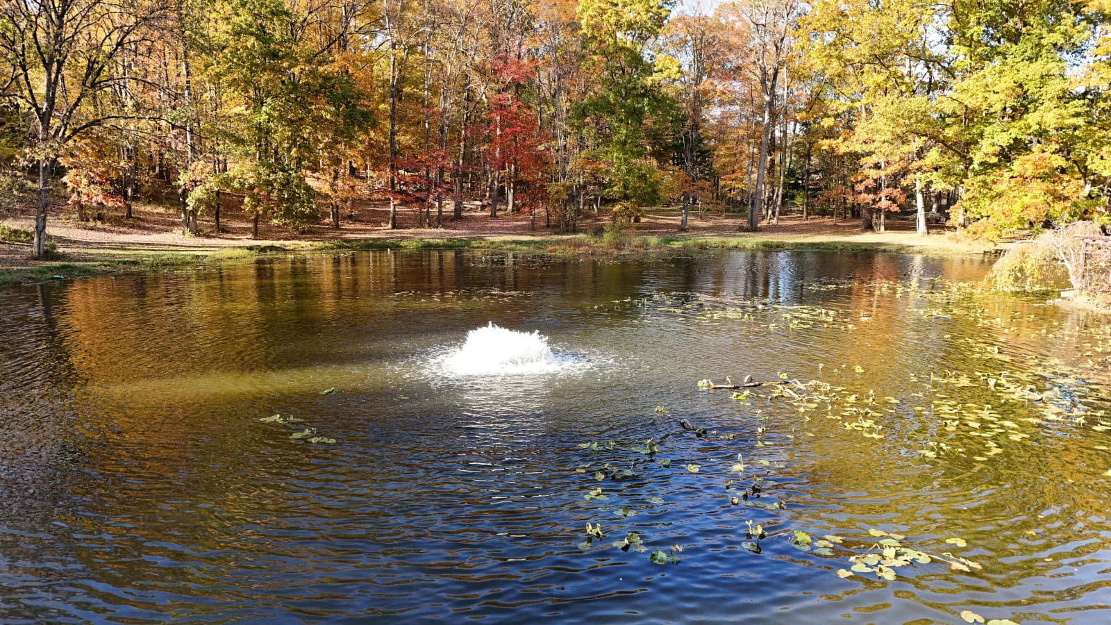 16-RCP©-2025 Fall Outside-DJI_20251027160634_0022_D.jpg