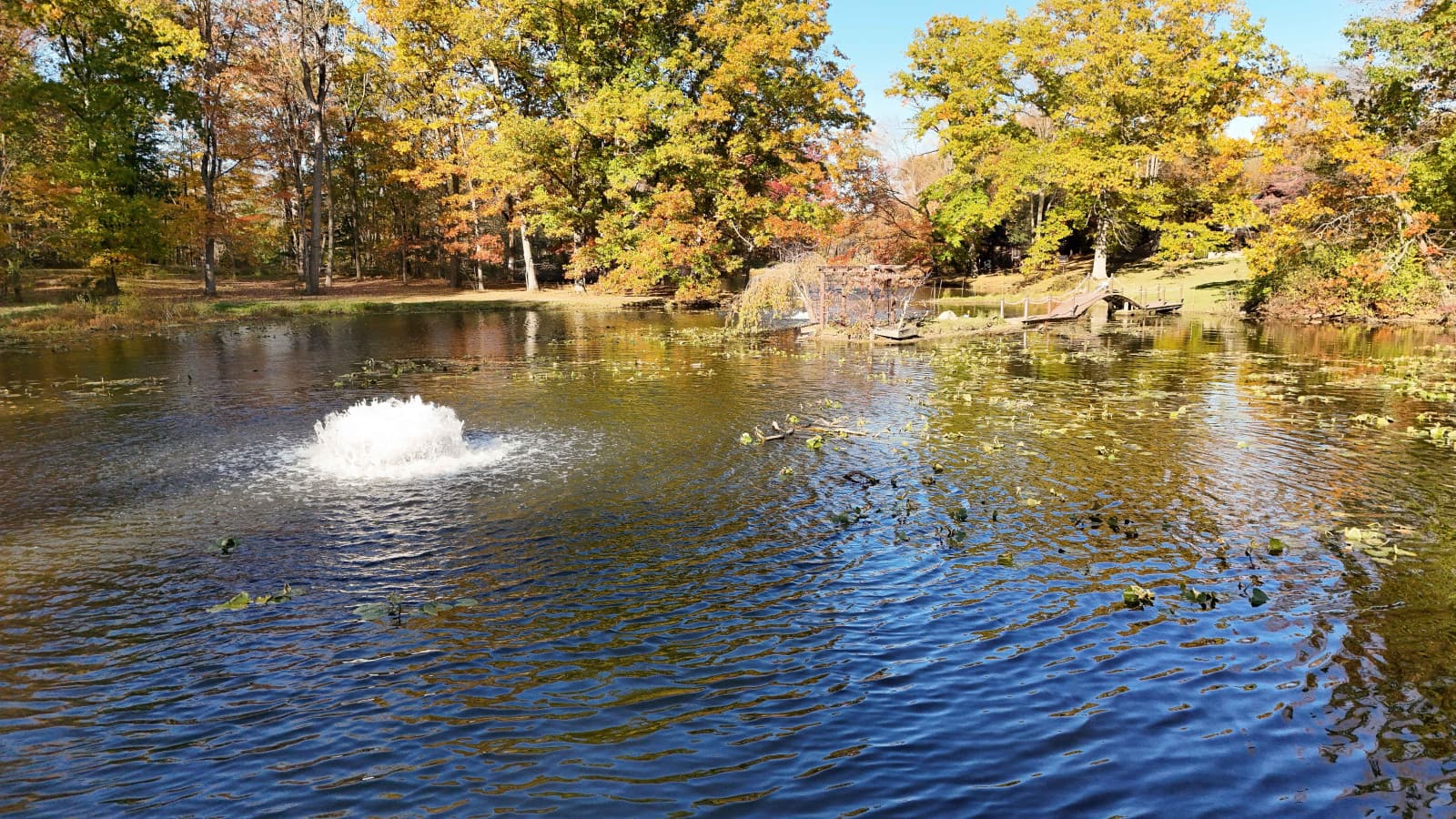 19-RCP©-2025 Fall Outside-DJI_20251027160705_0026_D.jpg
