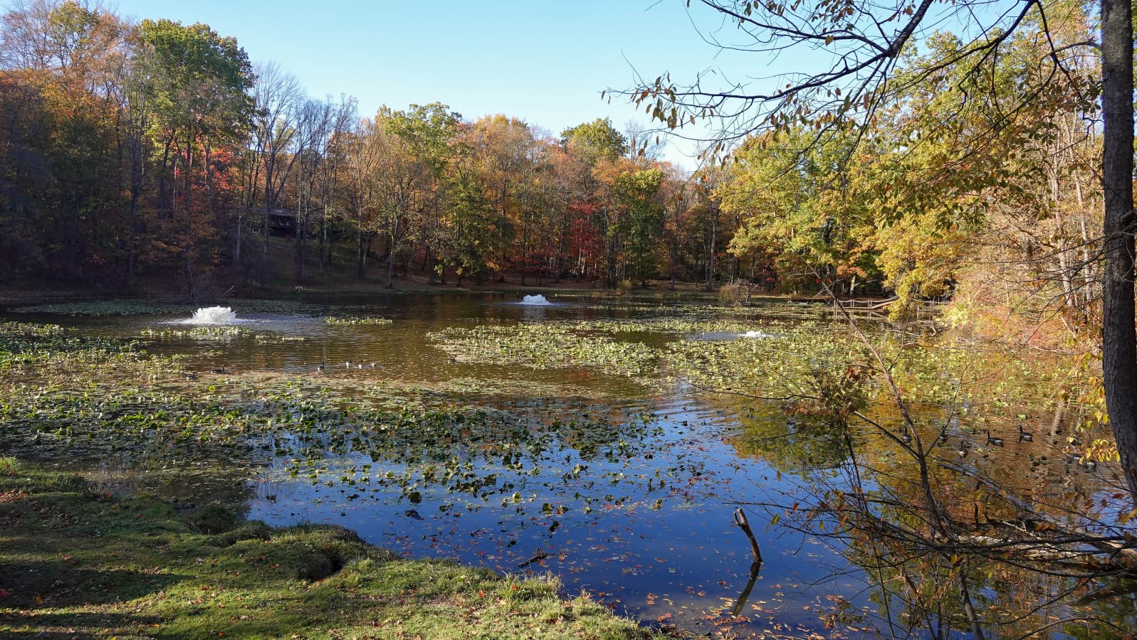 68-RCP©-2025 Fall Outside-DSC00284.jpg