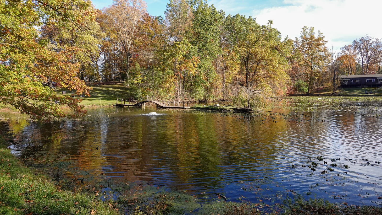 50-RCP©-2025 Fall Outside-DSC00248.jpg