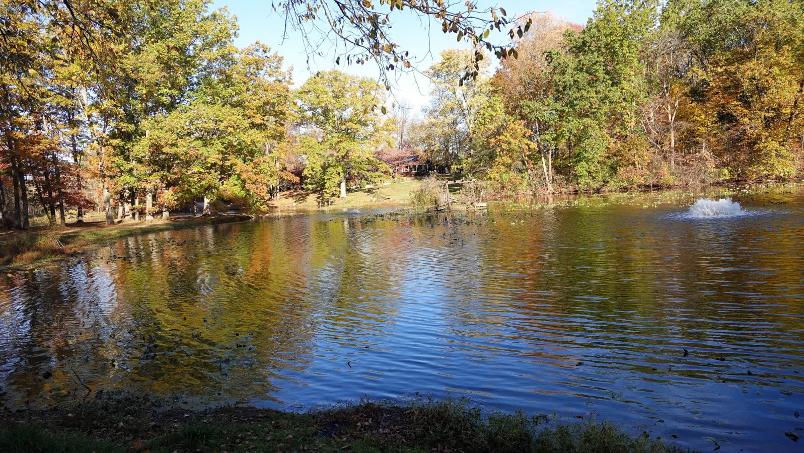 53-RCP©-2025 Fall Outside-DSC00254.jpg