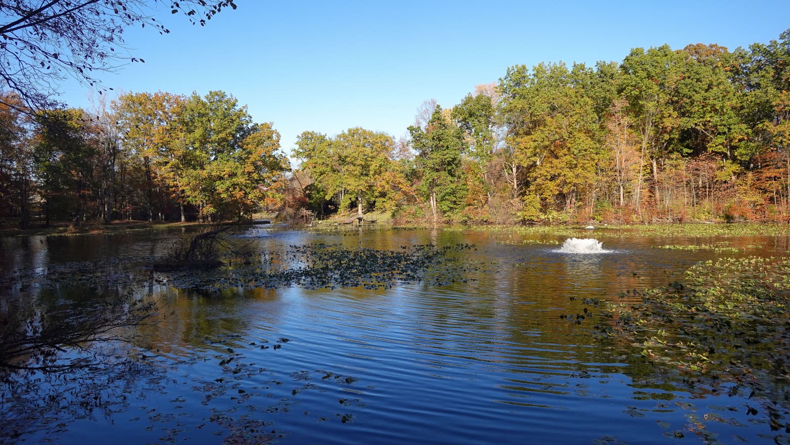 60-RCP©-2025 Fall Outside-DSC00271.jpg