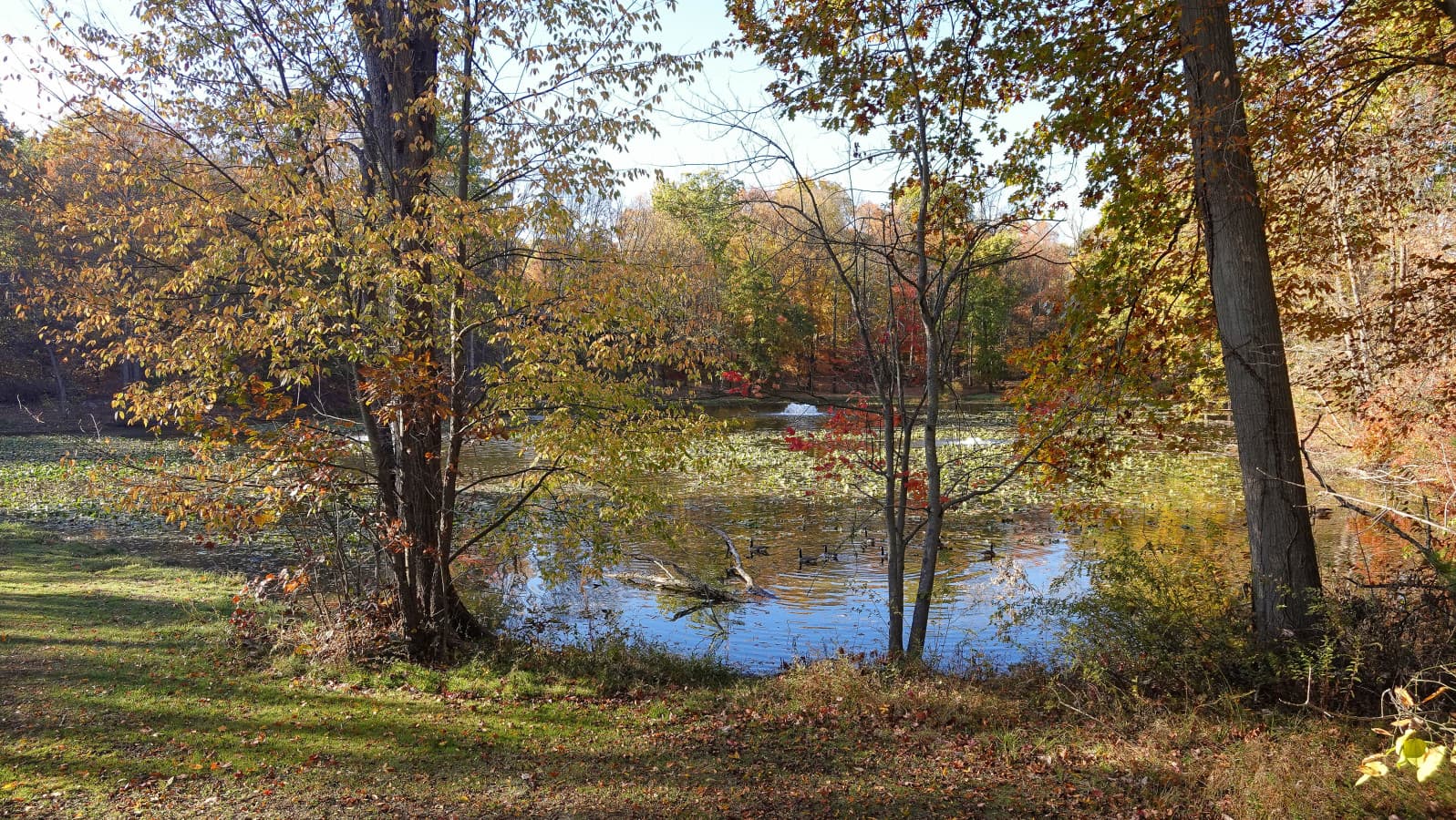 67-RCP©-2025 Fall Outside-DSC00283.jpg