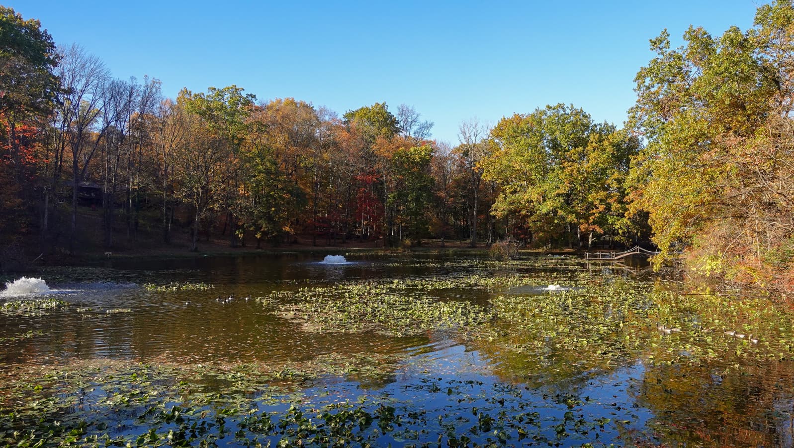 69-RCP©-2025 Fall Outside-DSC00288.jpg
