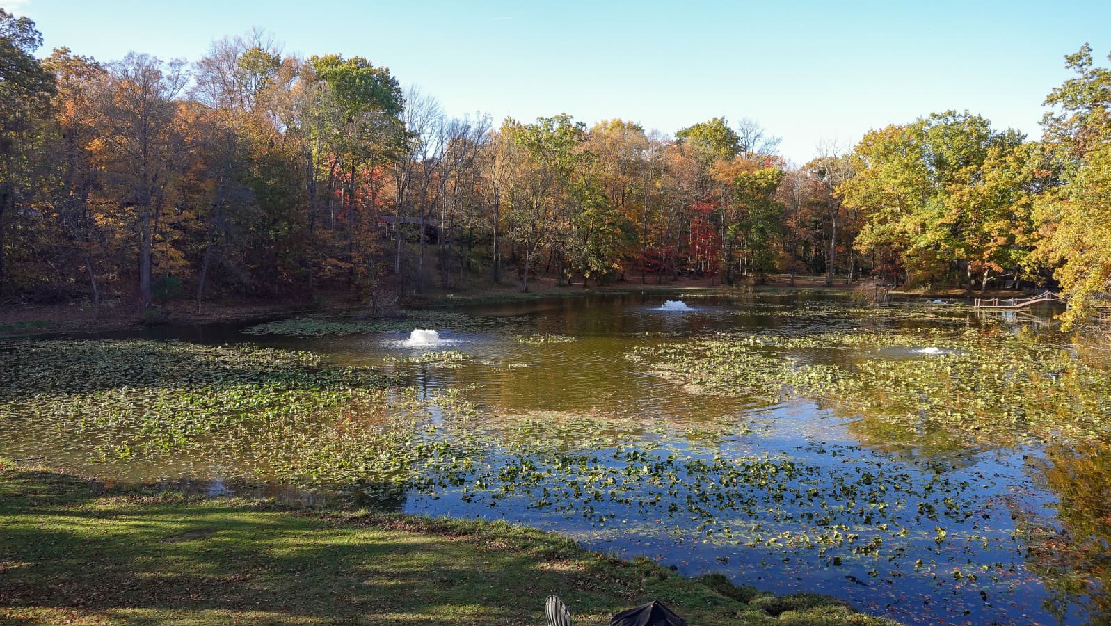 71-RCP©-2025 Fall Outside-DSC00293.jpg