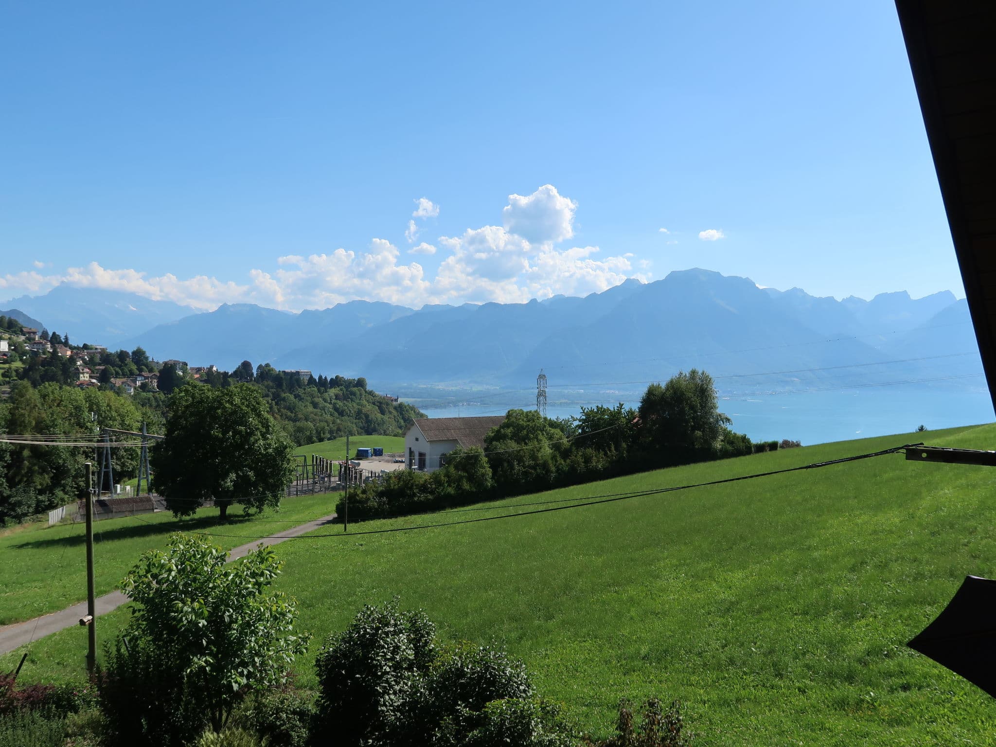 View