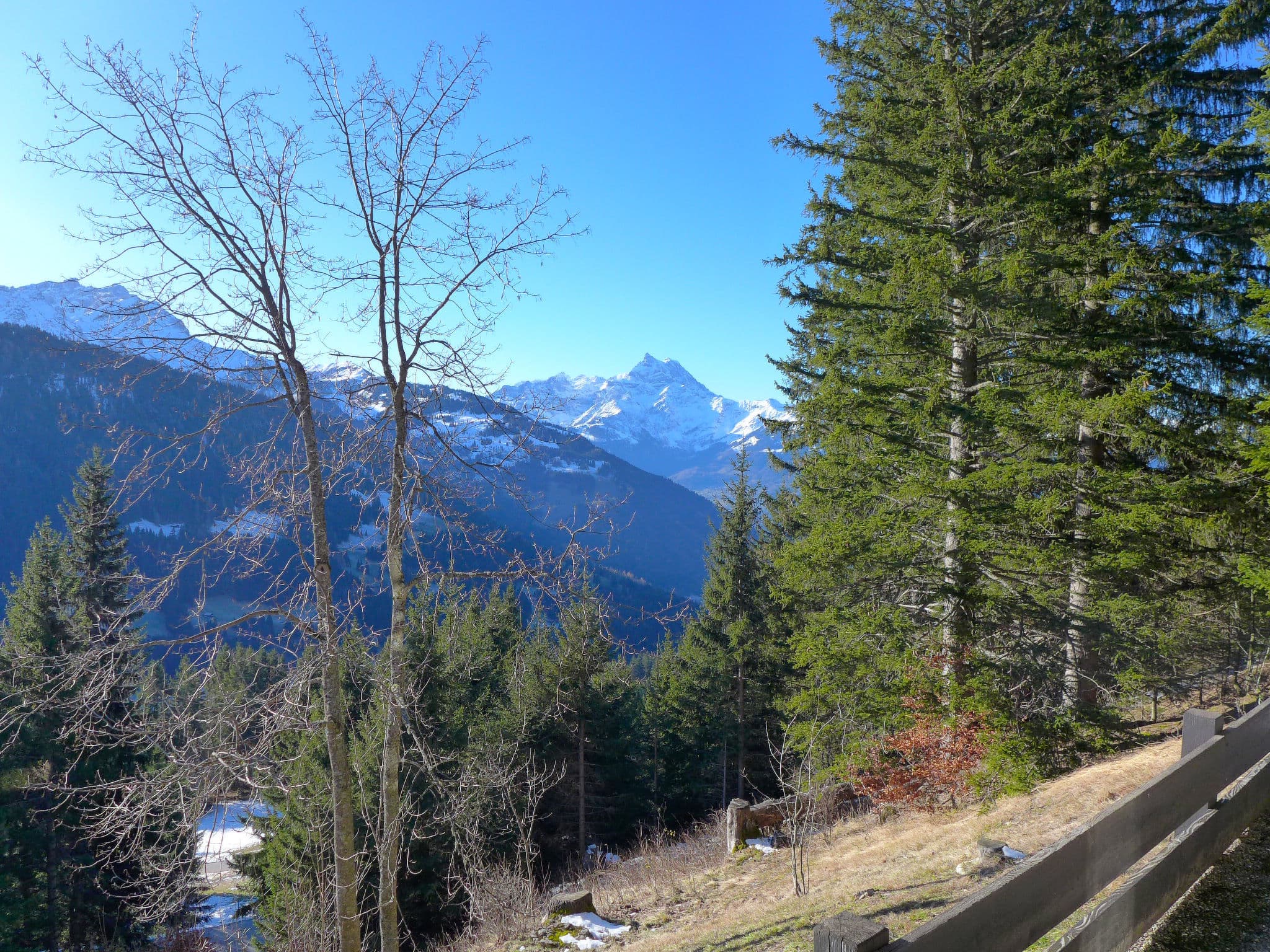 View