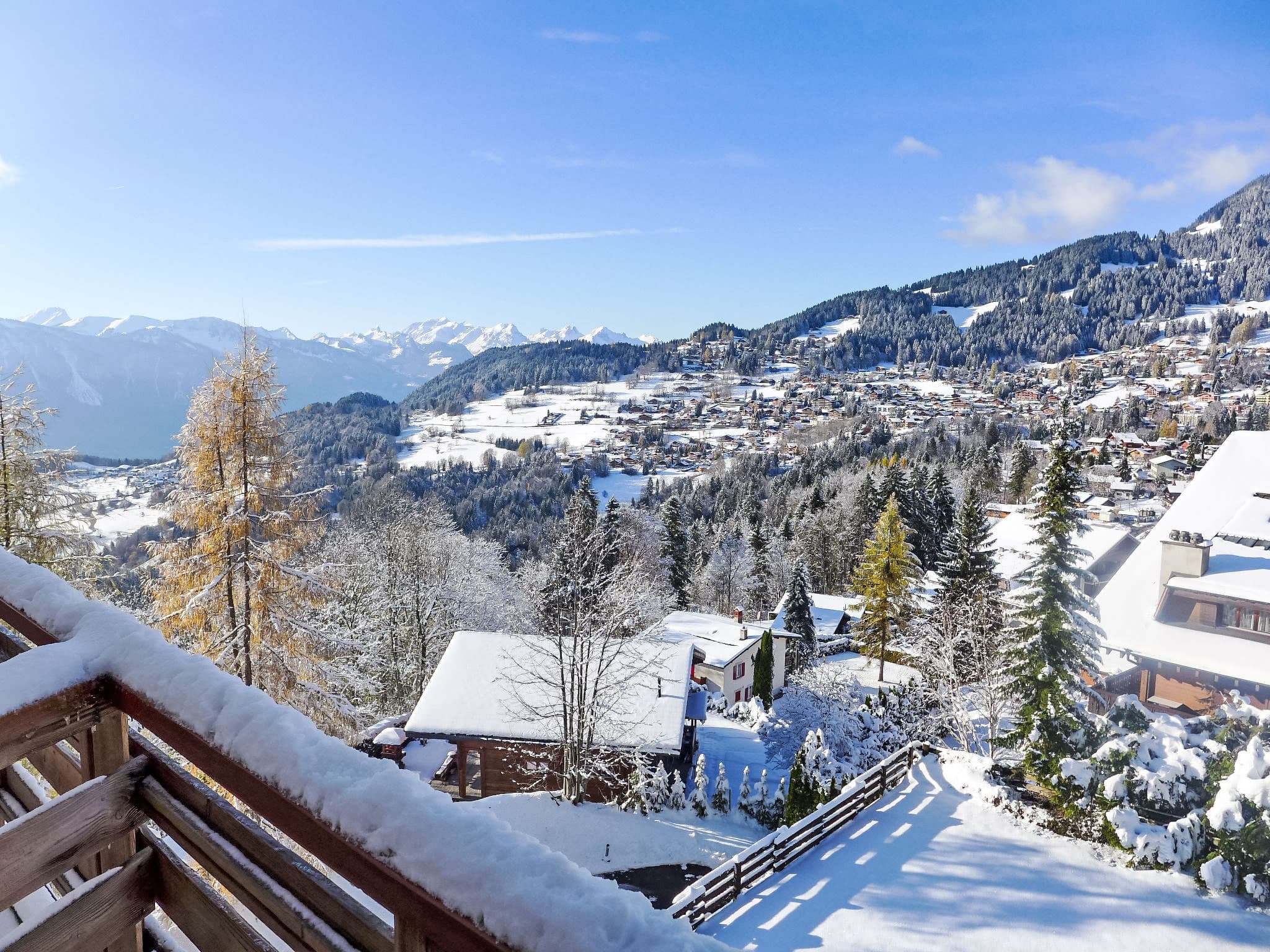 View