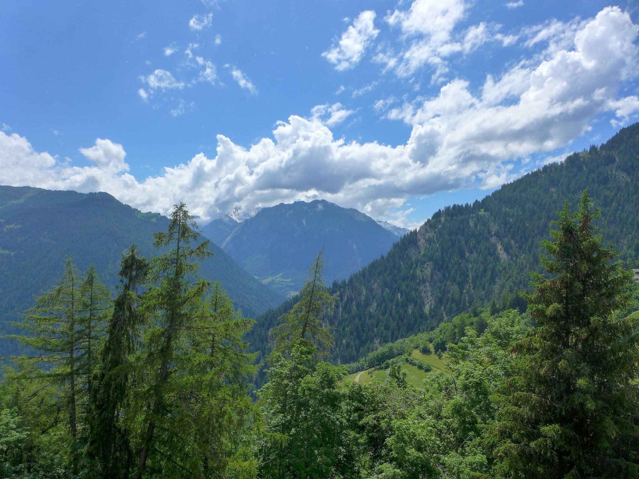 View